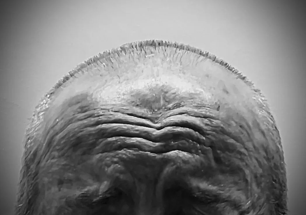 IMG_8209.JPG
