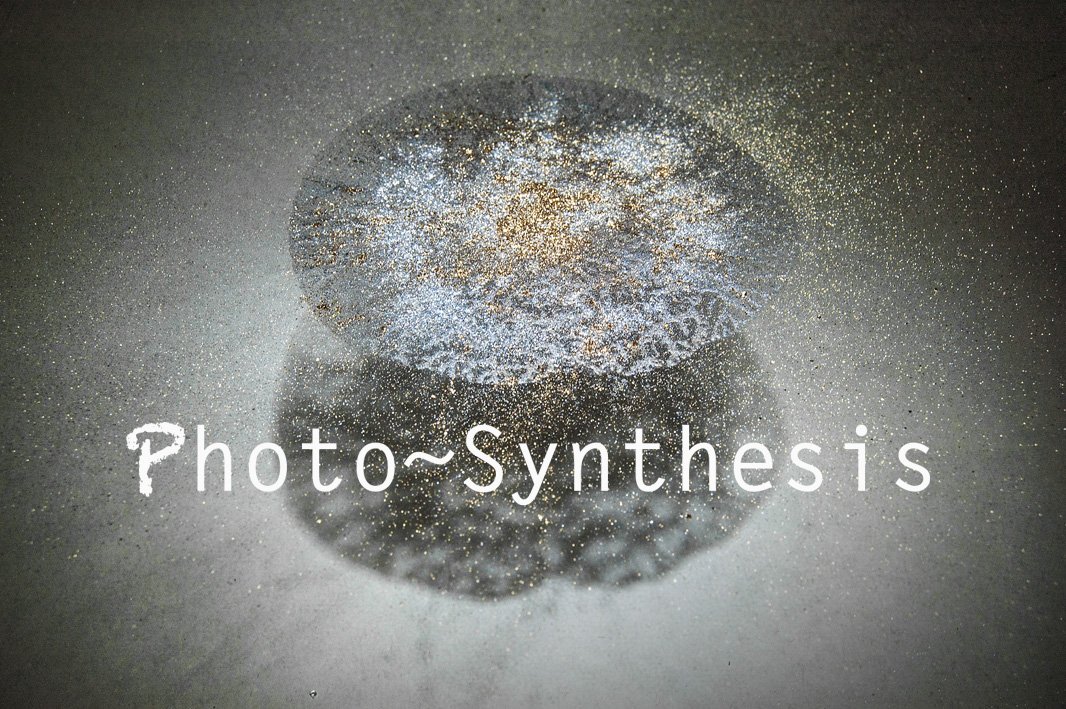 Photosynthesis Image copy.jpg
