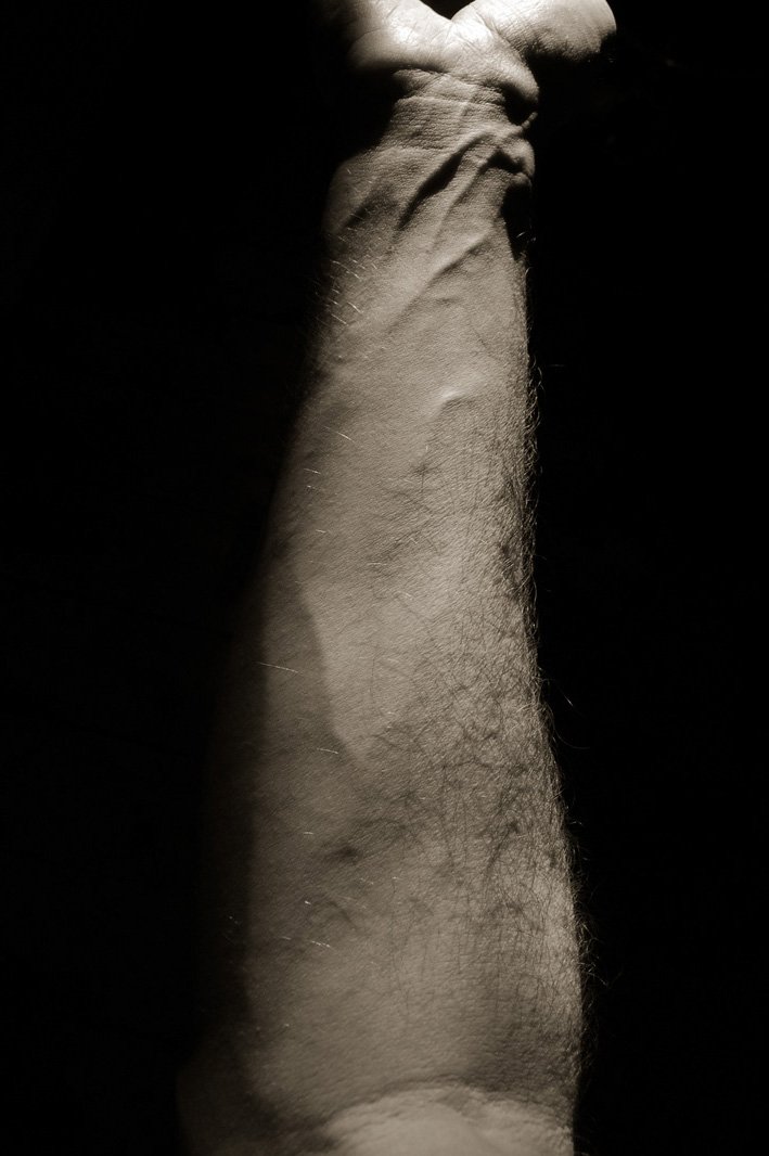 06.04.06 Forearm & fist 1 copy 2.jpg