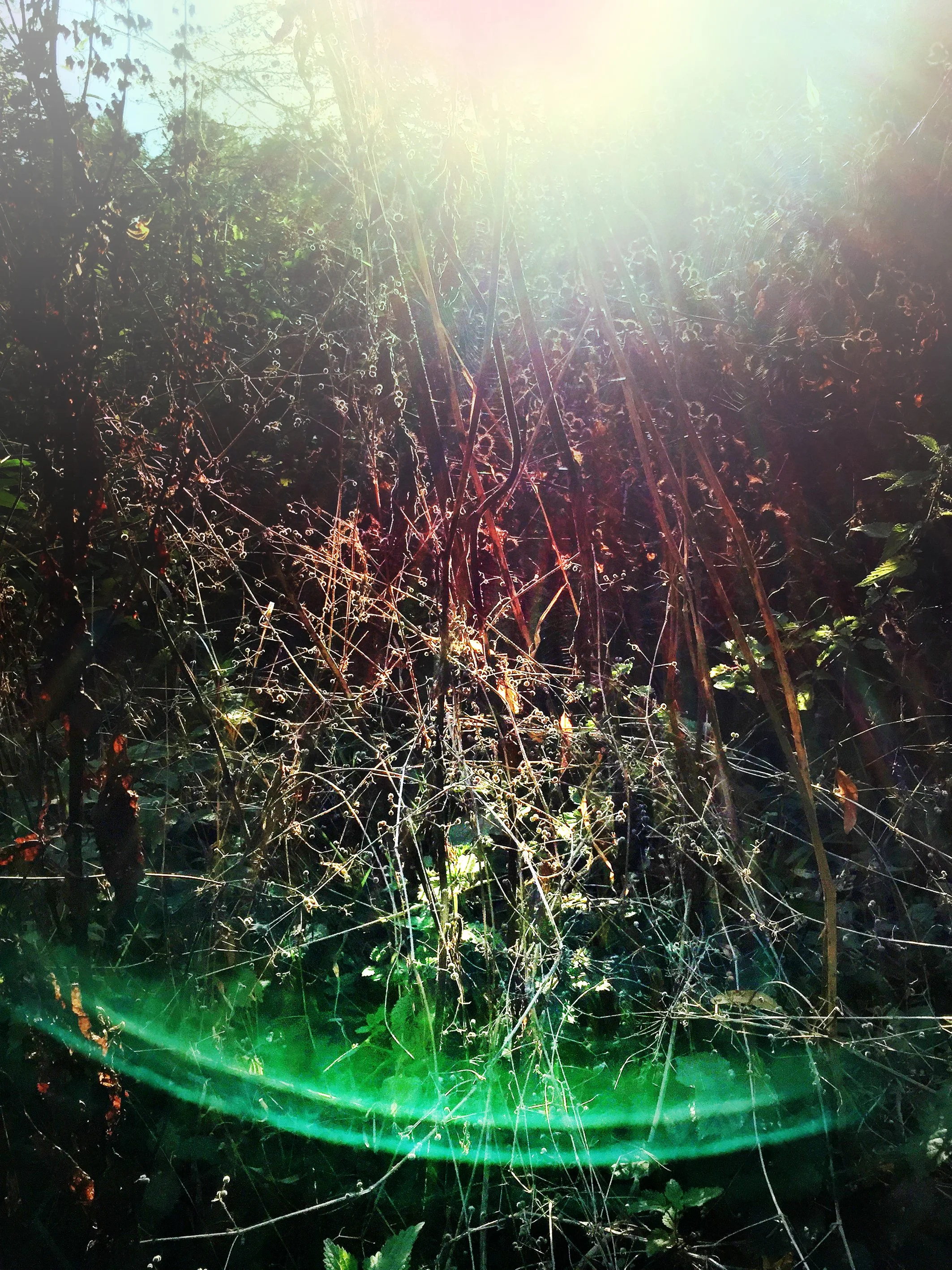12 Flare Sept 2021 copy.jpg