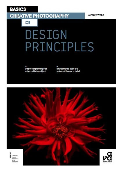 Jeremy Webb DP cover 2010 copy.jpg