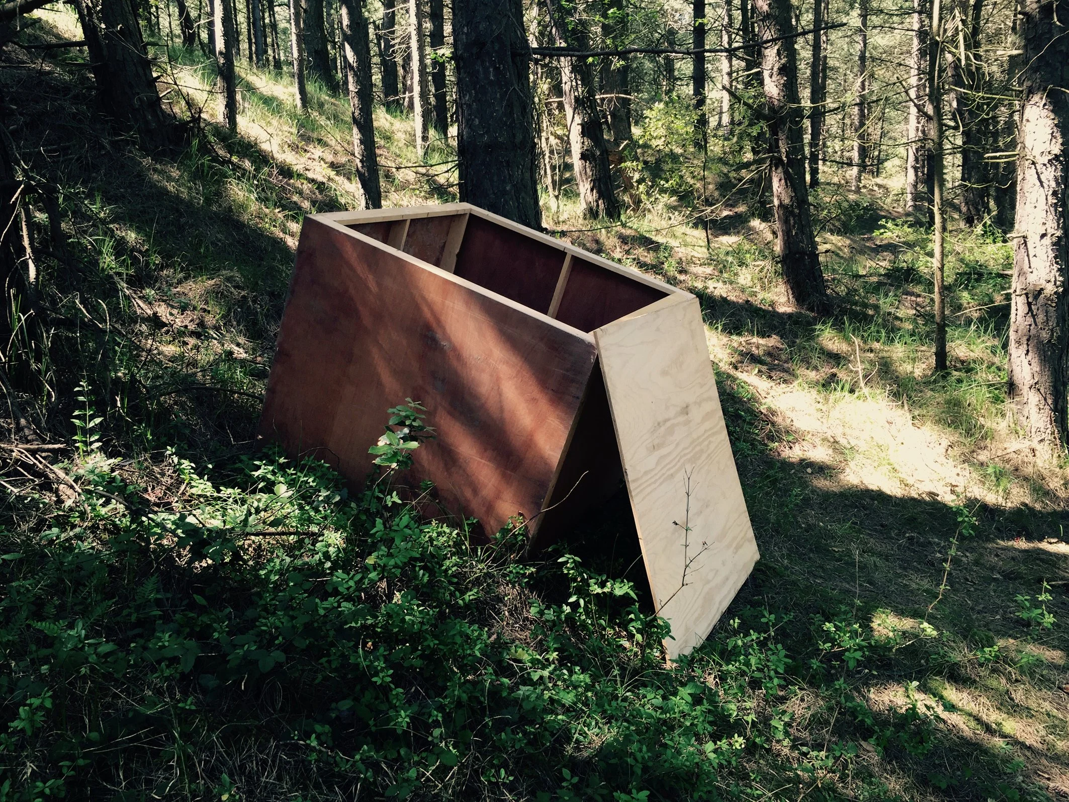 18 Holkham box 02 July 2016.jpg
