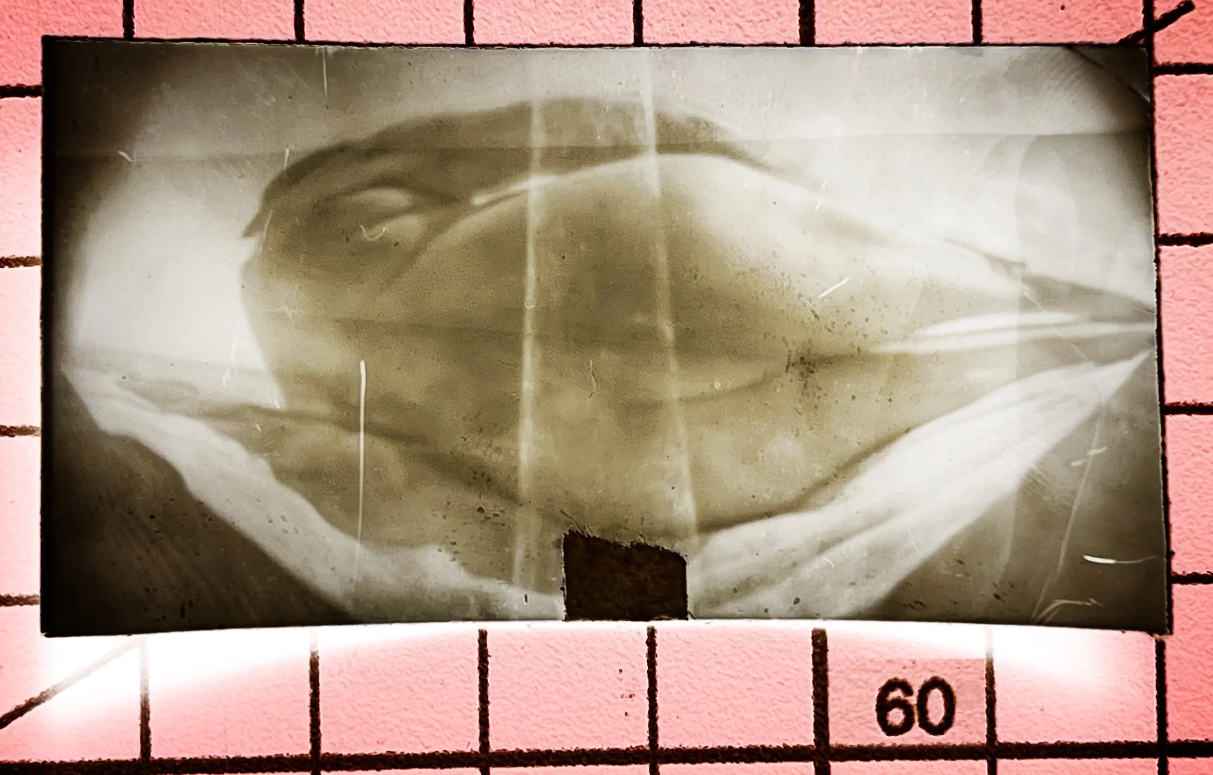 47 Swimmer bare bum Holkham pinhole Aug 25 copy.jpg