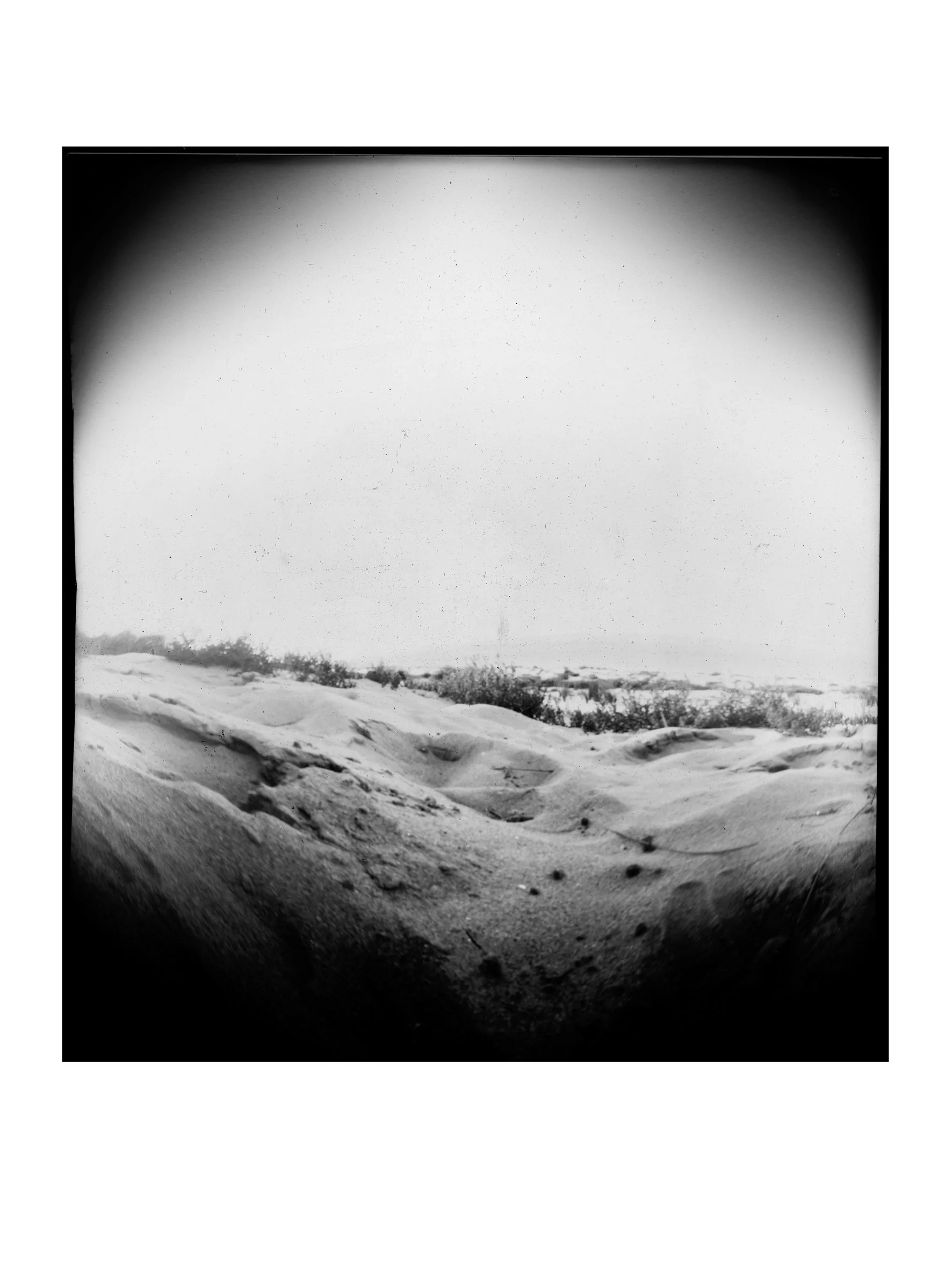 28 Doggerland 3.jpg