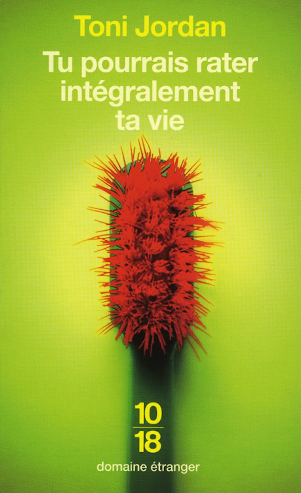 Toni Jordan book cover copy 2.jpg