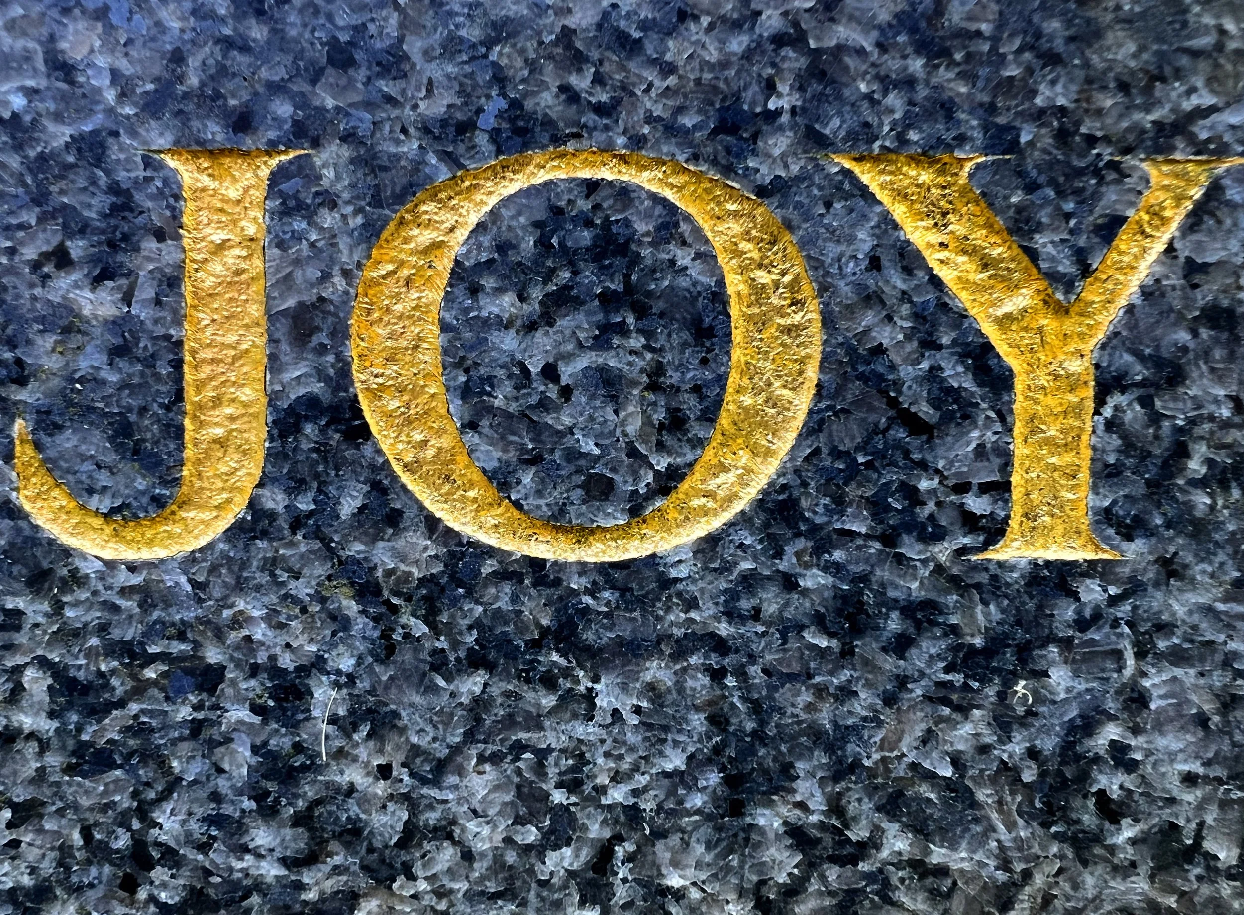 57 JOY on gravestone North Burlingham Aug 24 copy 2.jpg