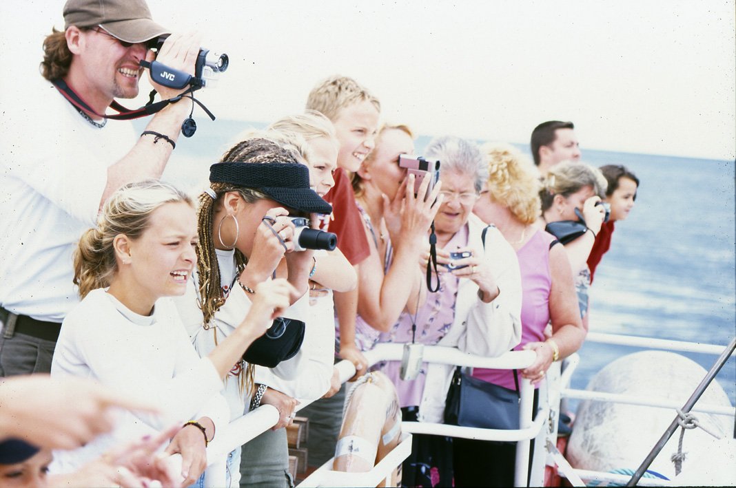 A Found Crowd 1.jpg