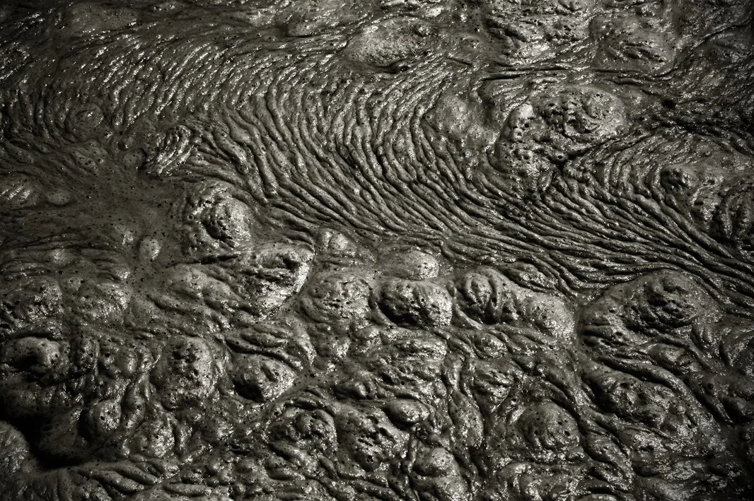 37 Sliding foam 02 Covehithe July 2015.jpg