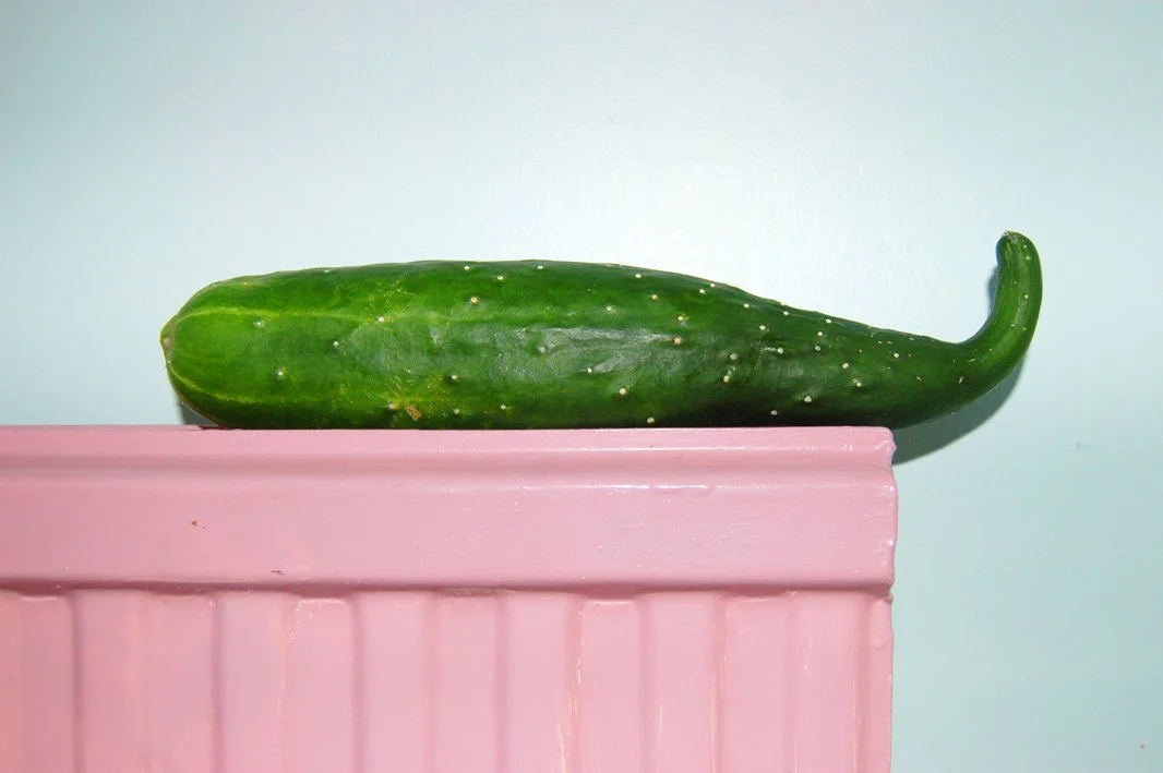 48b Cucumber on radiator 1 copy 4.jpg