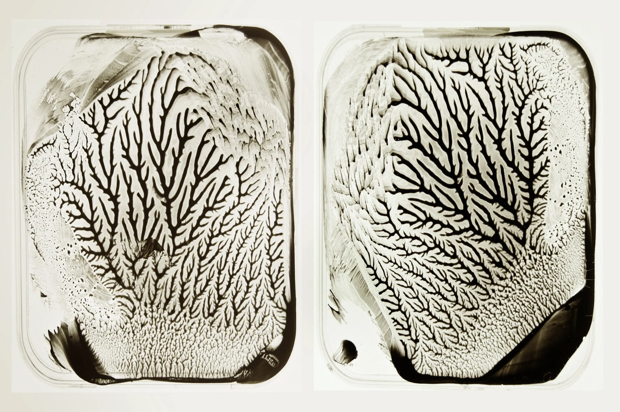 Decal 56.jpg