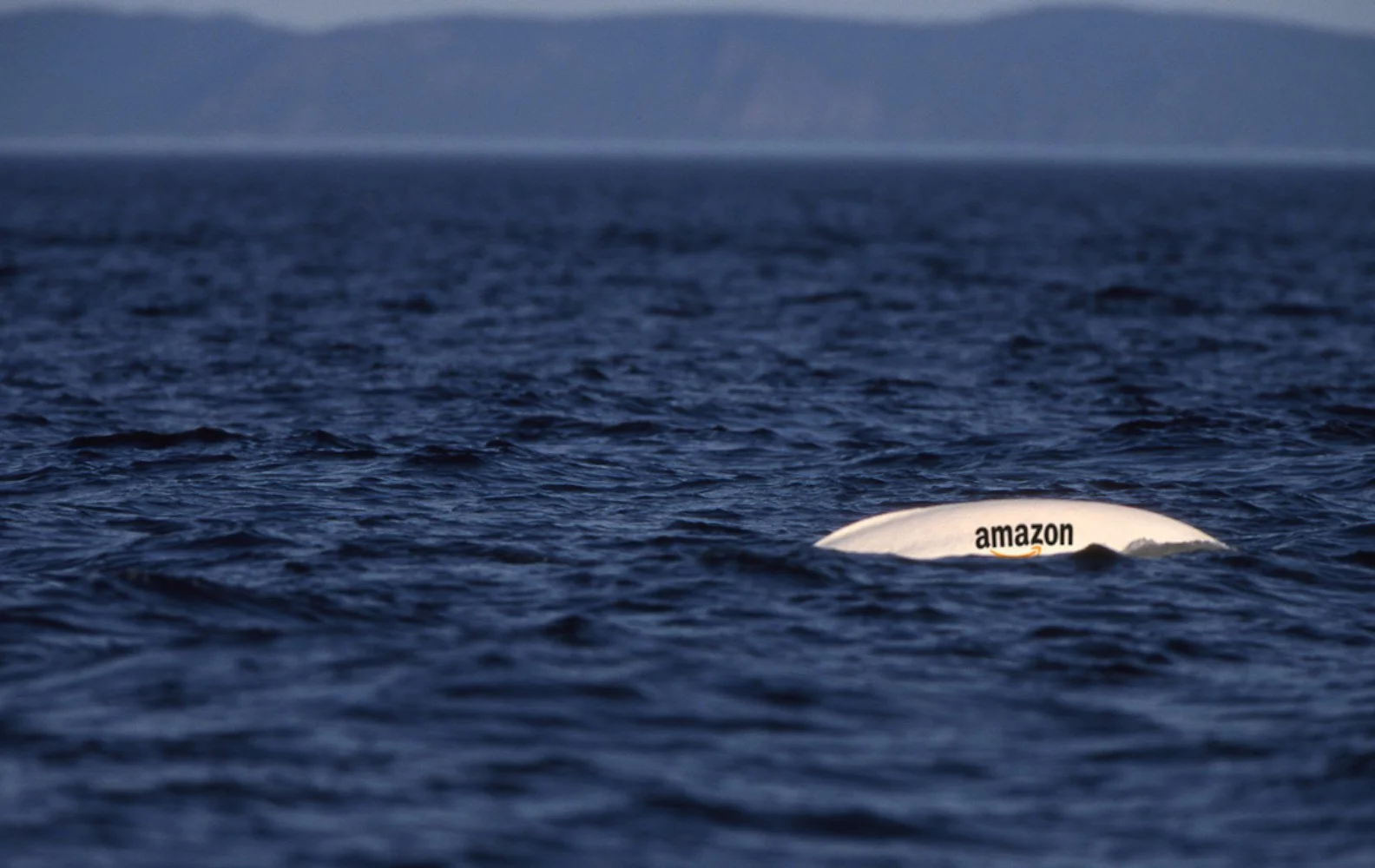 This weeks whale is sponsored by Amazon copy.jpg