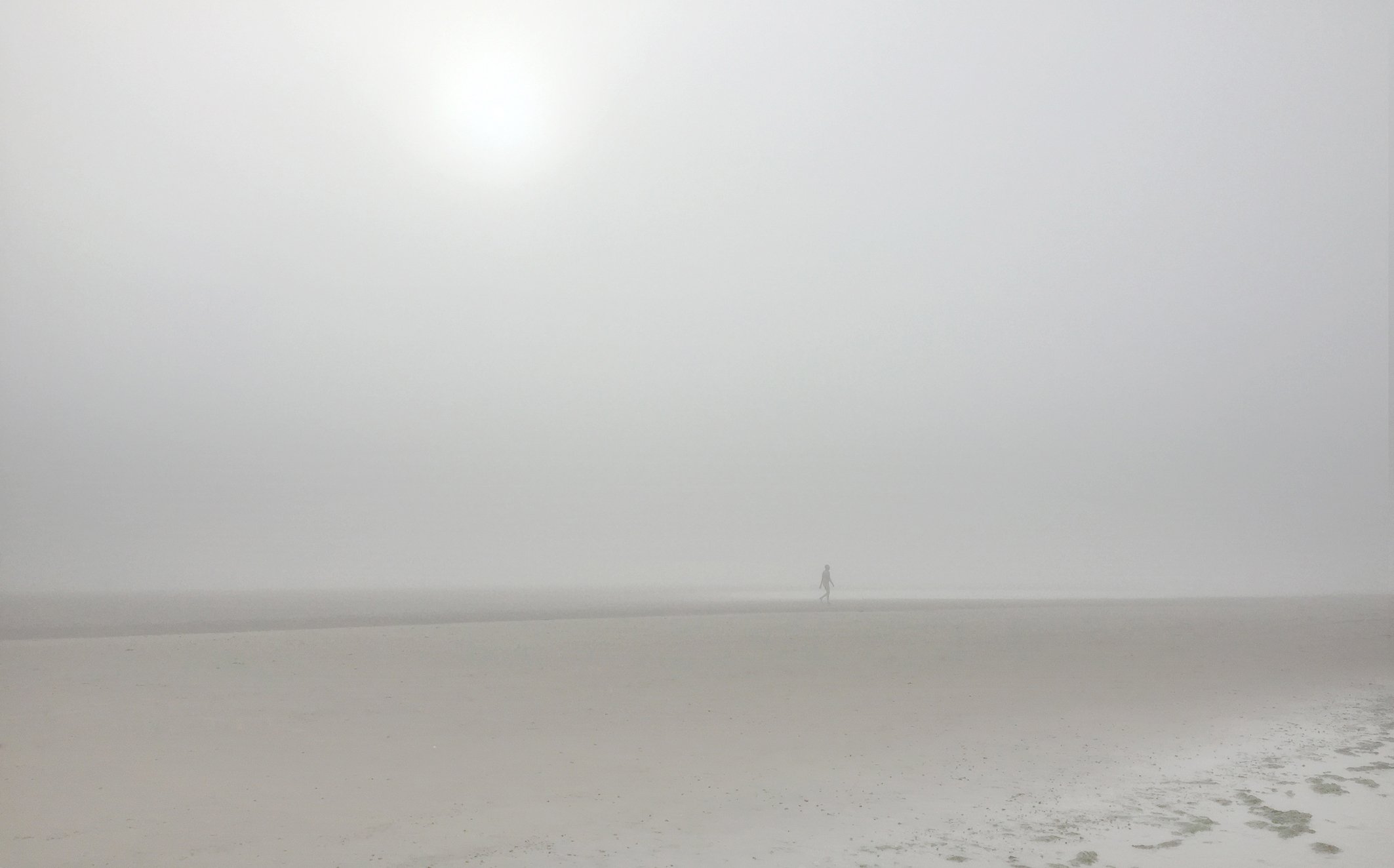 Holkham homo sapien 1 Sept 2016.jpg