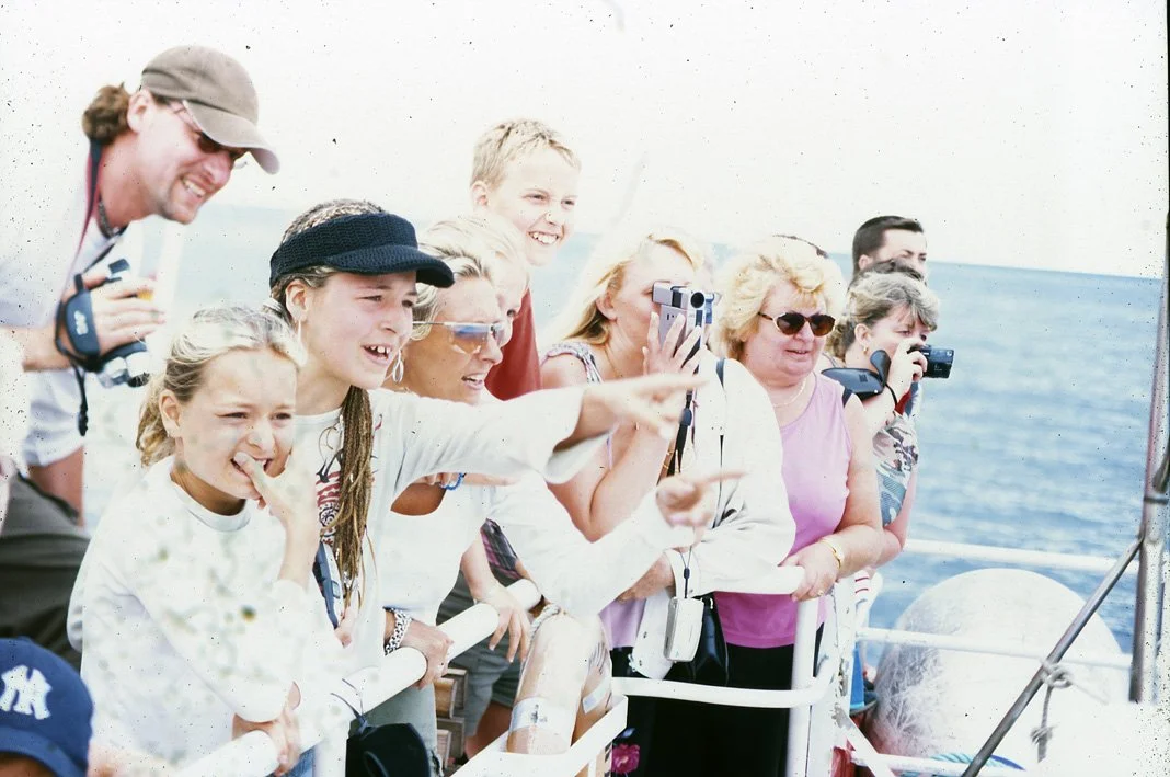 A Found Crowd 2.jpg