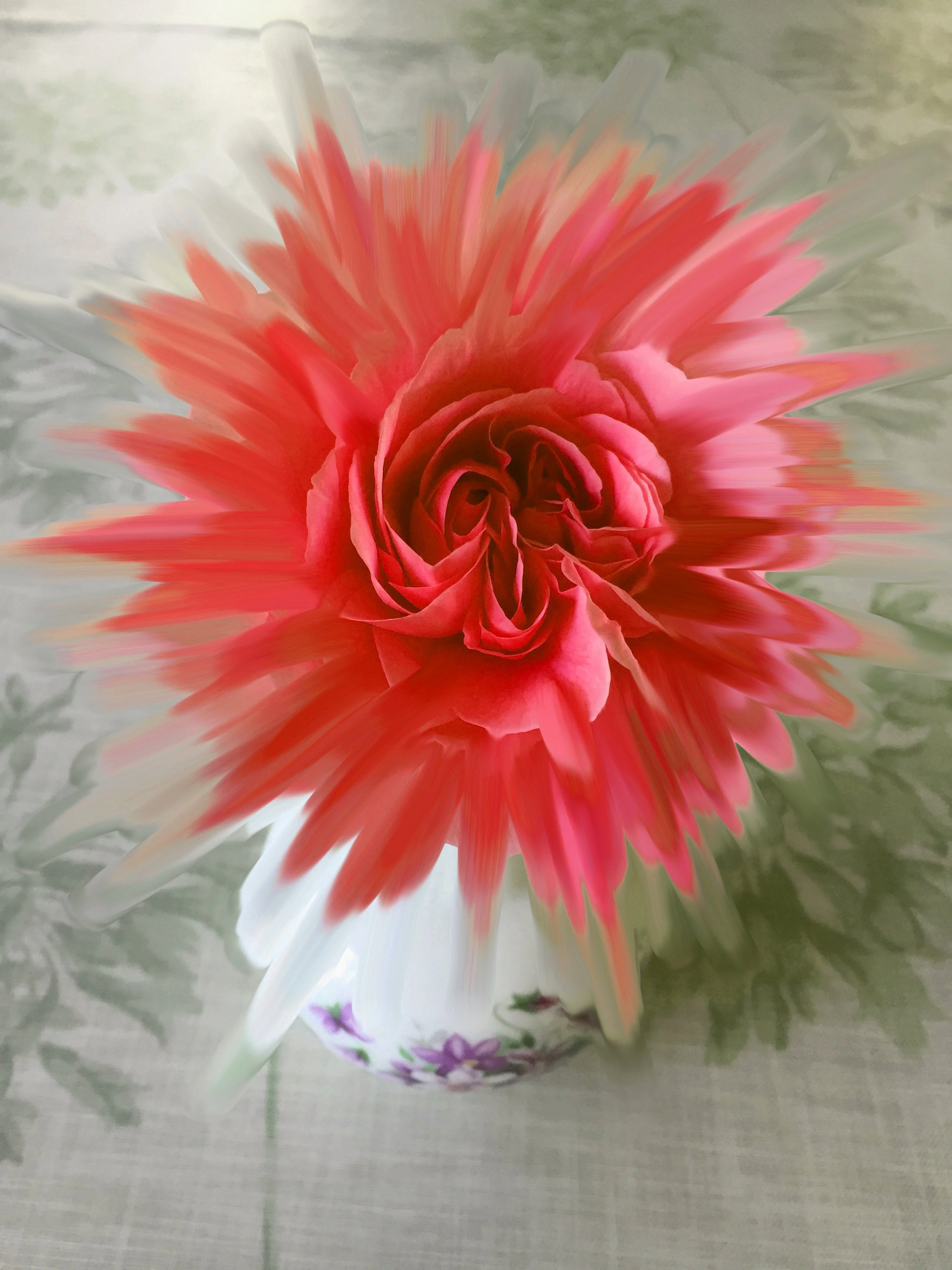 Pink rose star blue June 2021 copy 2.jpg