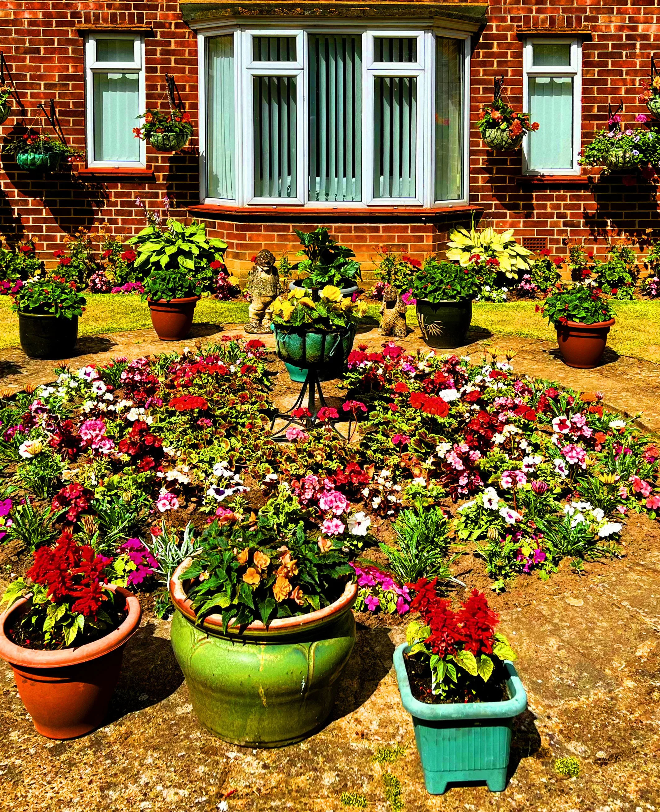 Overblown colour July 2022 copy.jpg