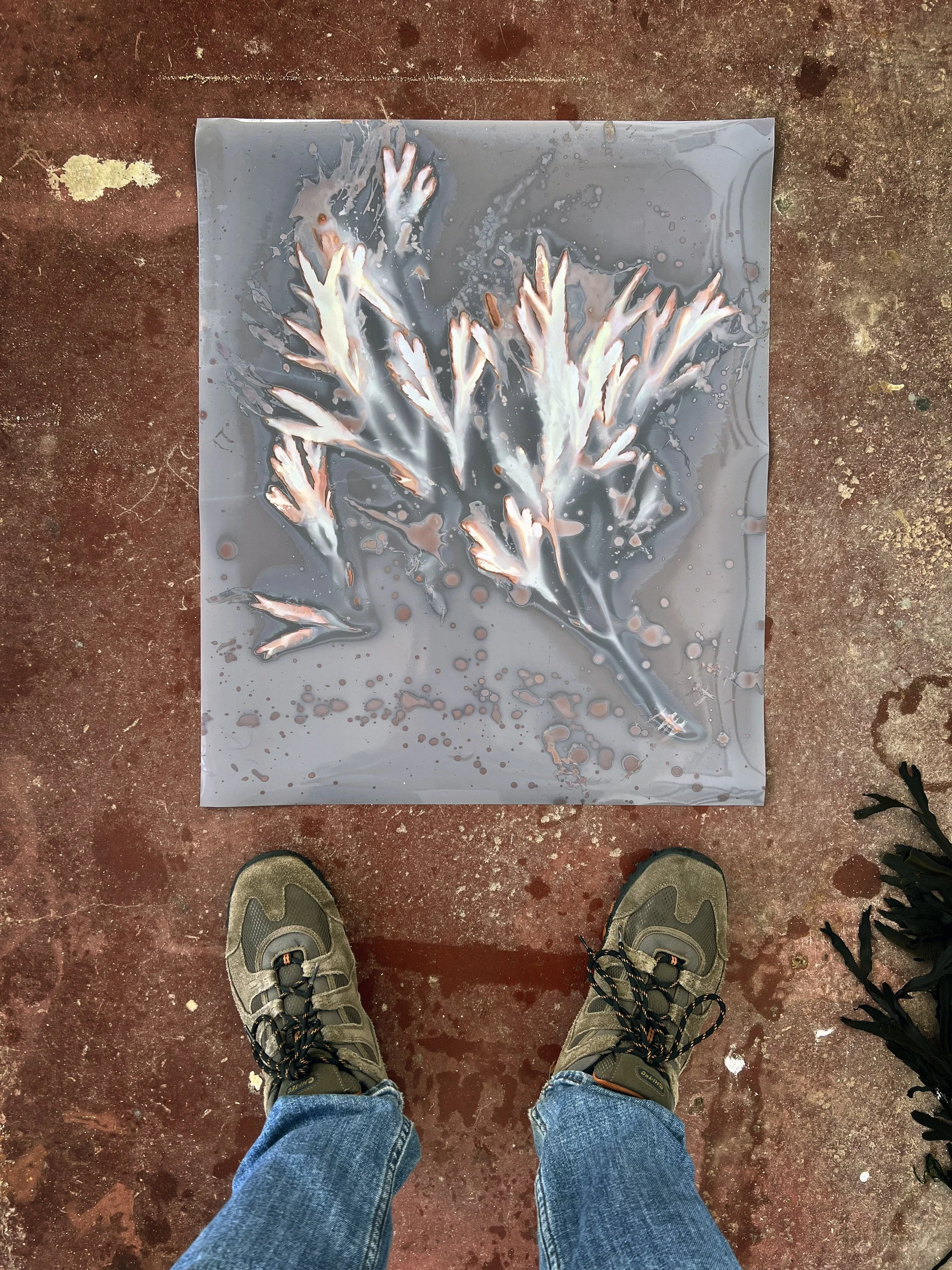 28 Seaweed gram and feet Cromer Artspace sept 2022 copy 2.jpg
