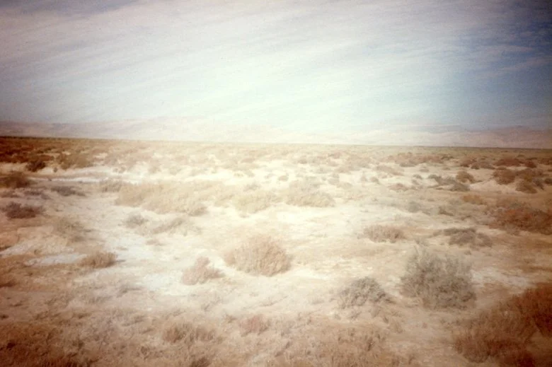 04 copy.jpg