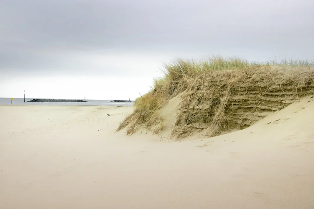 24 Dune and wave breakers Sea Palling March 08.jpg