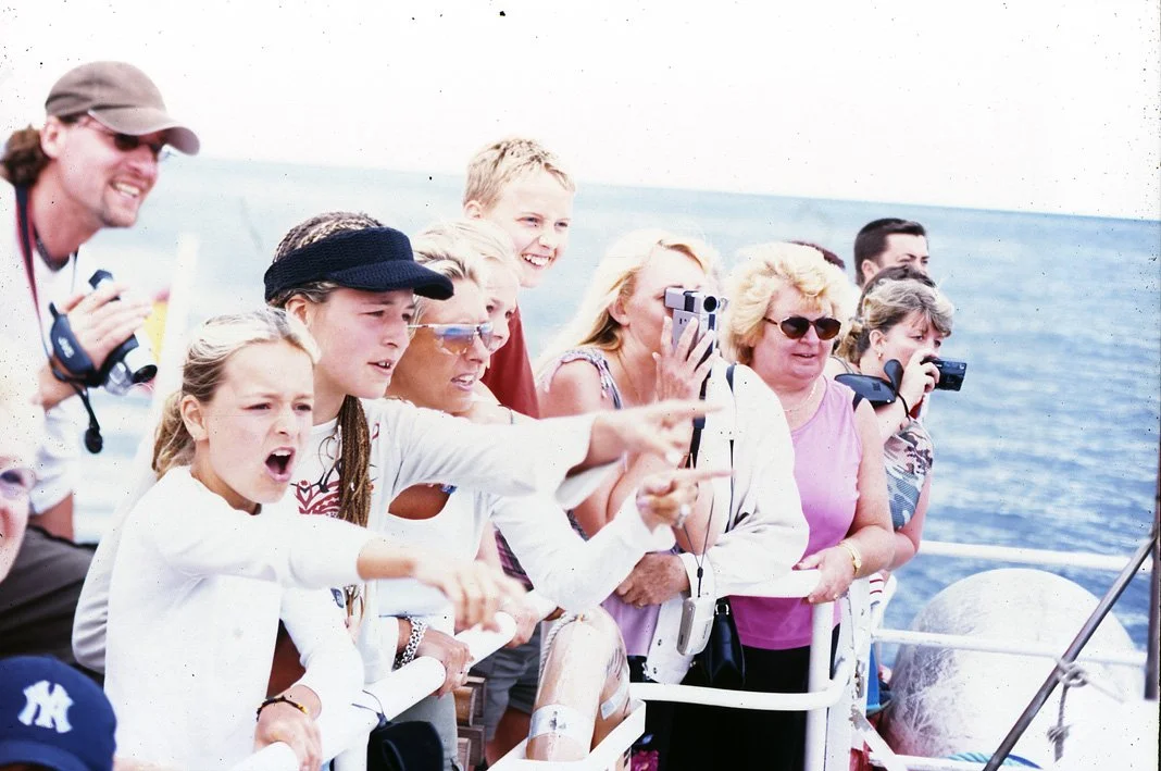 A Found Crowd 3.jpg