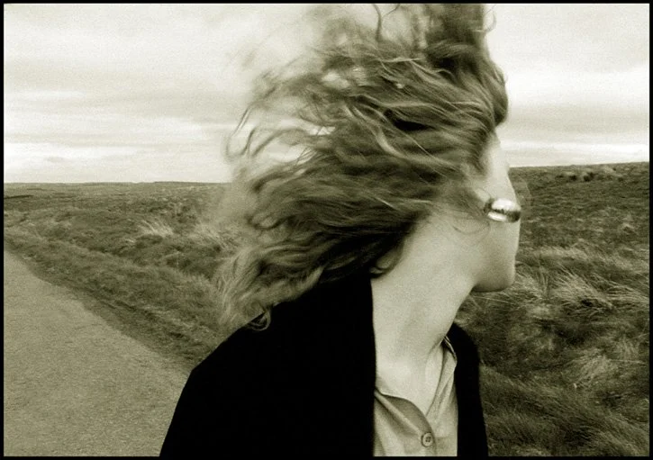 Windswept.jpg