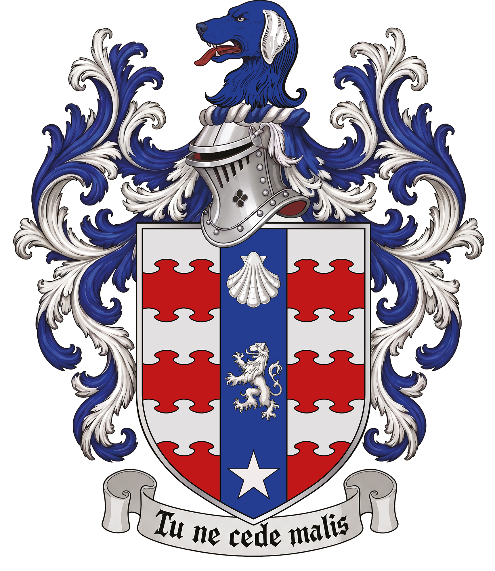 coat of arms of aynsley damery