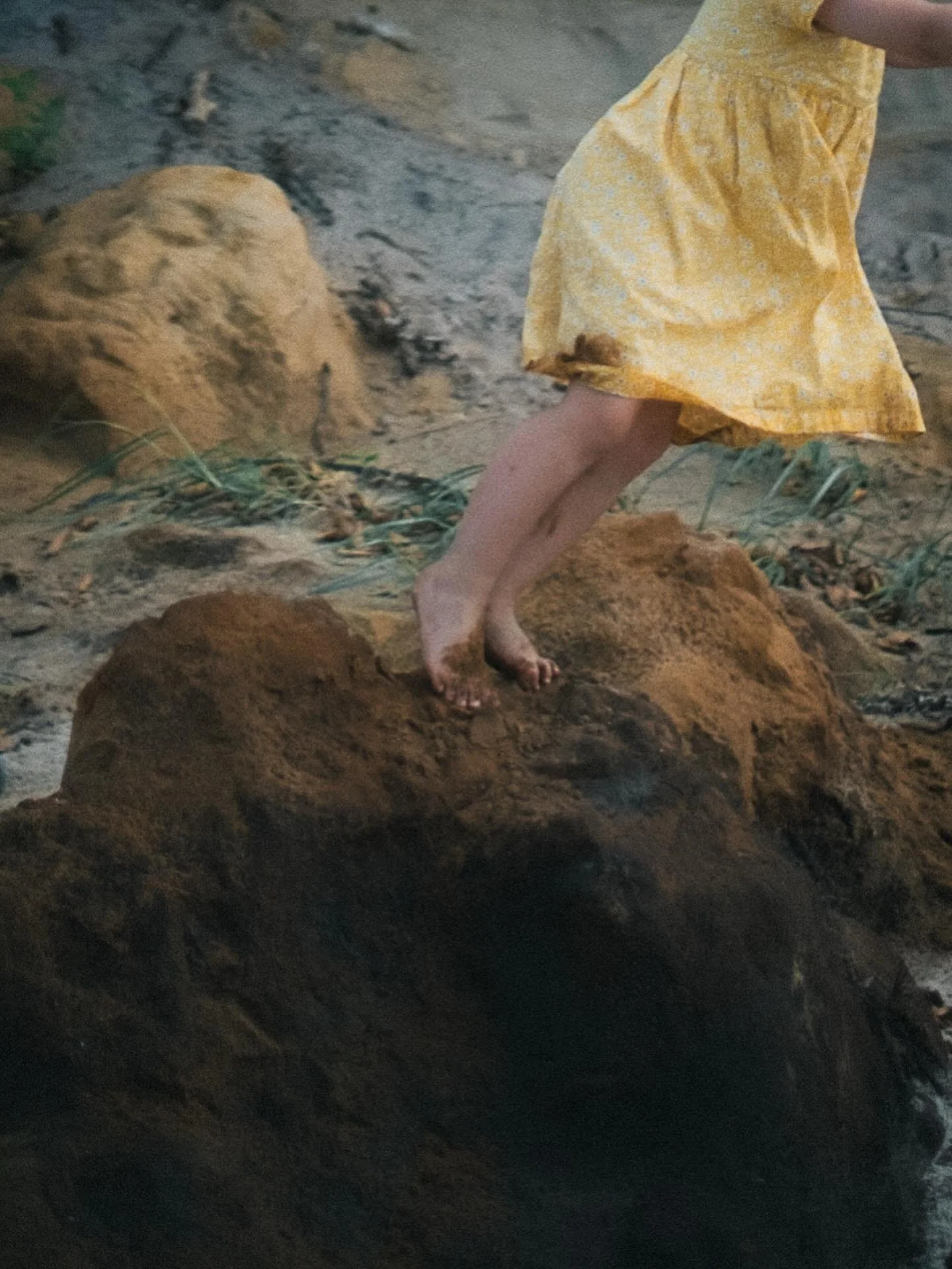 Wurzeln schlagen, Fl&uuml;gel entfalten. ✨

 #pvmondayroots @photovogue 

#sheshootsfilm #35mm DOKUMENTARISCHEFAMILIENFOTOGRAFIE
FOTOGRAFINLEIPZIG KINDHEIT ANALOG
