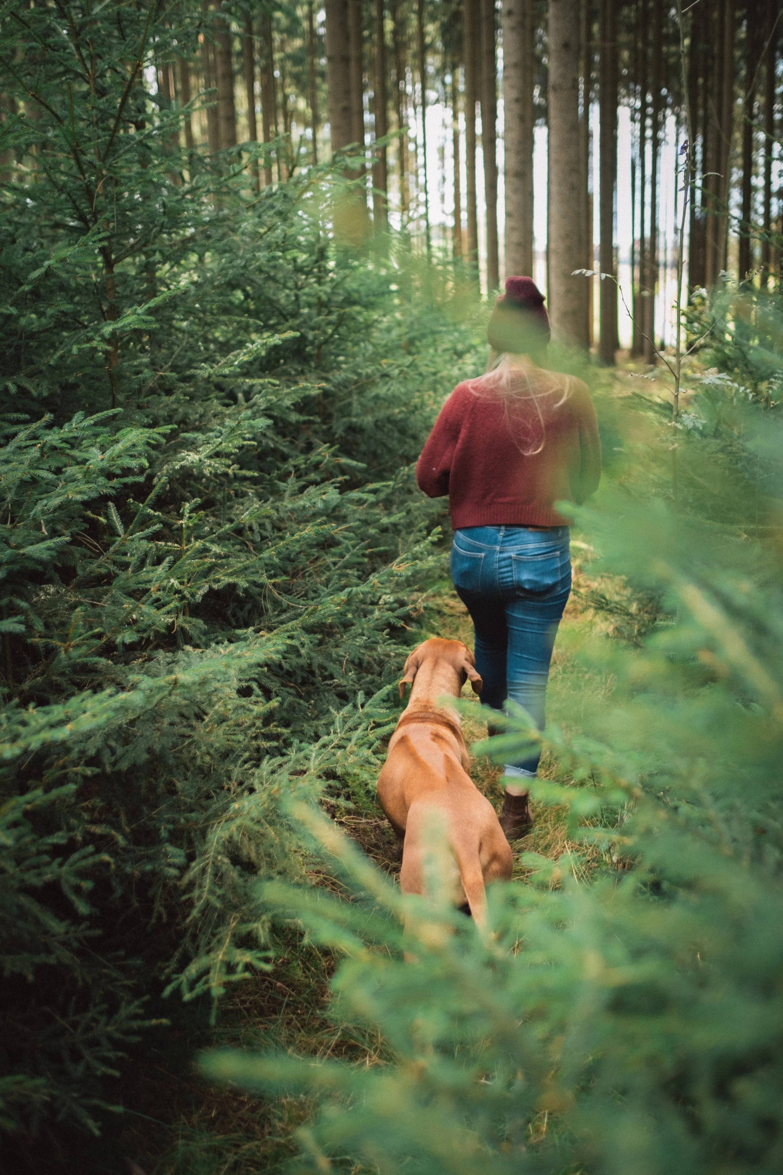 Frau spaziert mit Hund im Wald