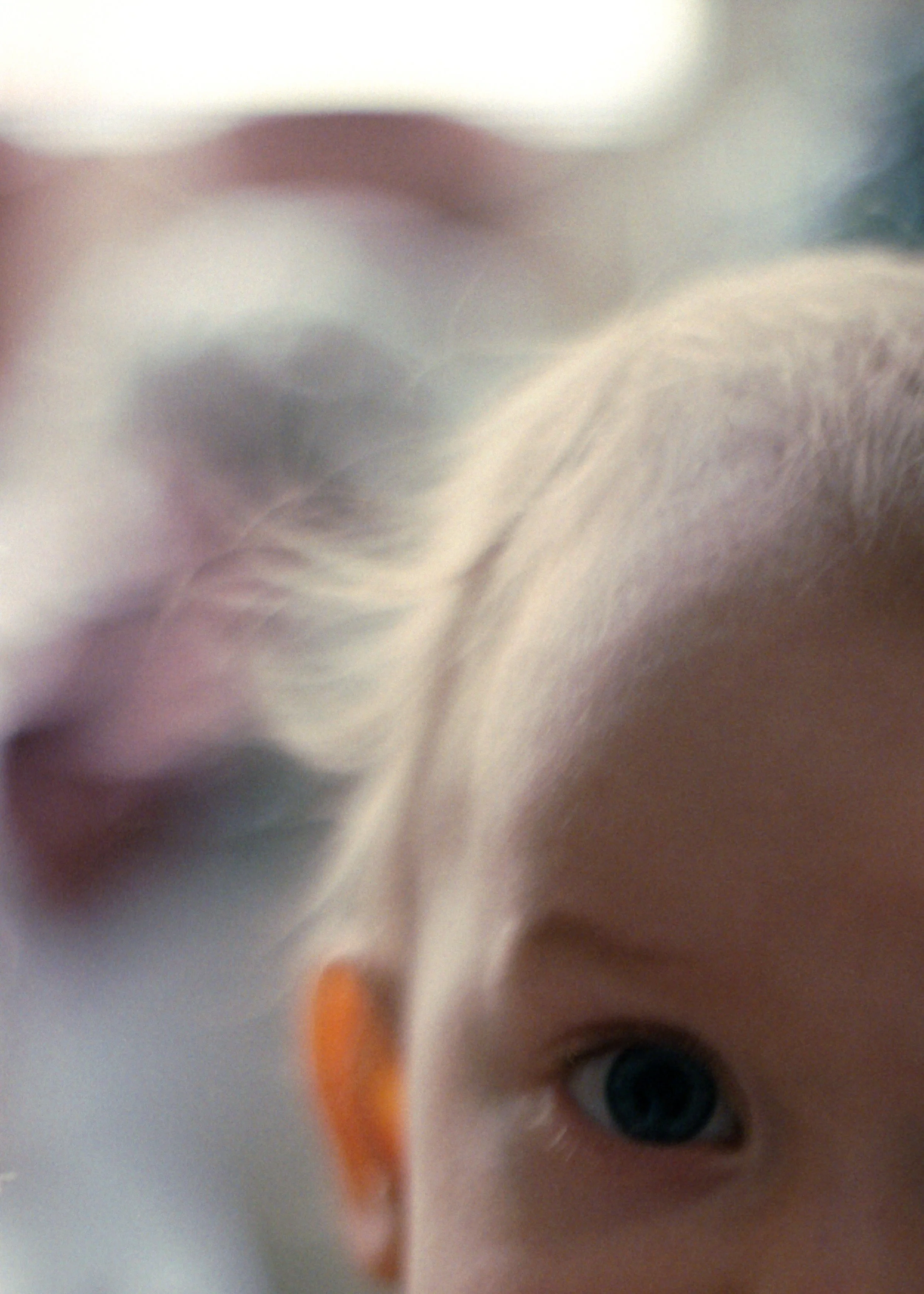 milchbart webseite 2.jpg