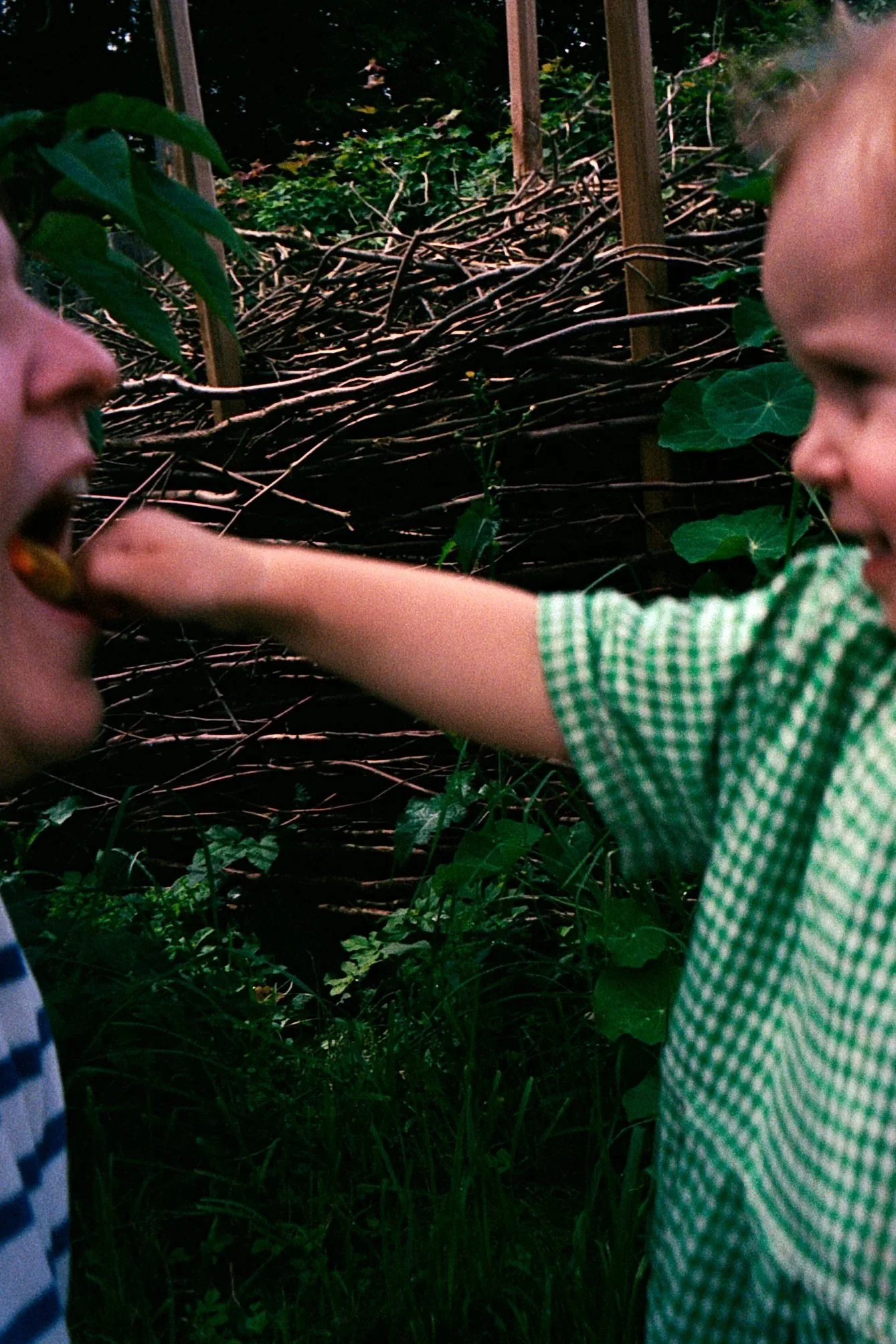 Ein Kind streckt den Arm und füttert Person