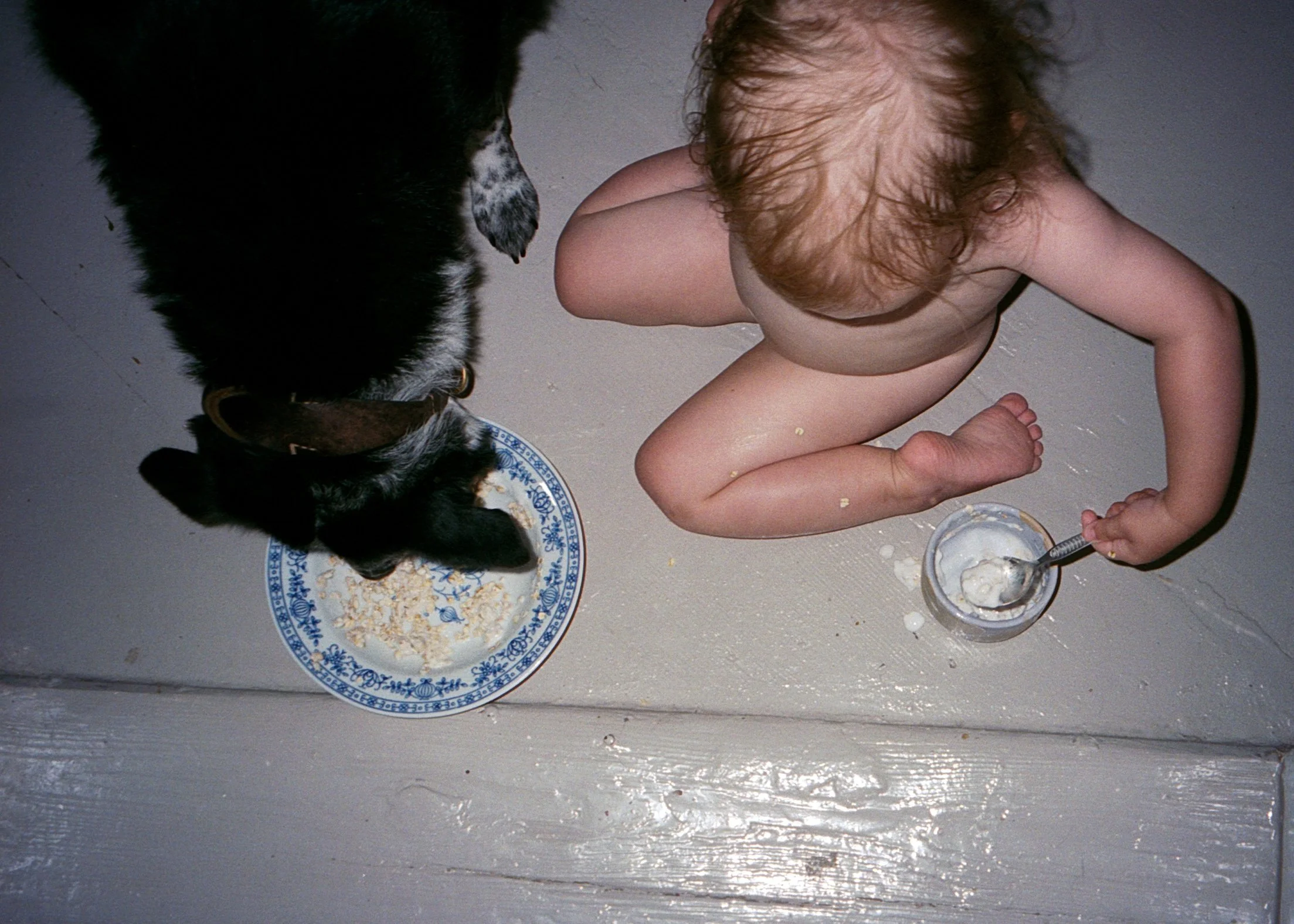 Ein nackt kinder mit roten Haaren sitzt auf dem Boden und isst Joghurt mit einem Löffel, neben ihnen steht ein Hund, der aus einer Schale frisst.