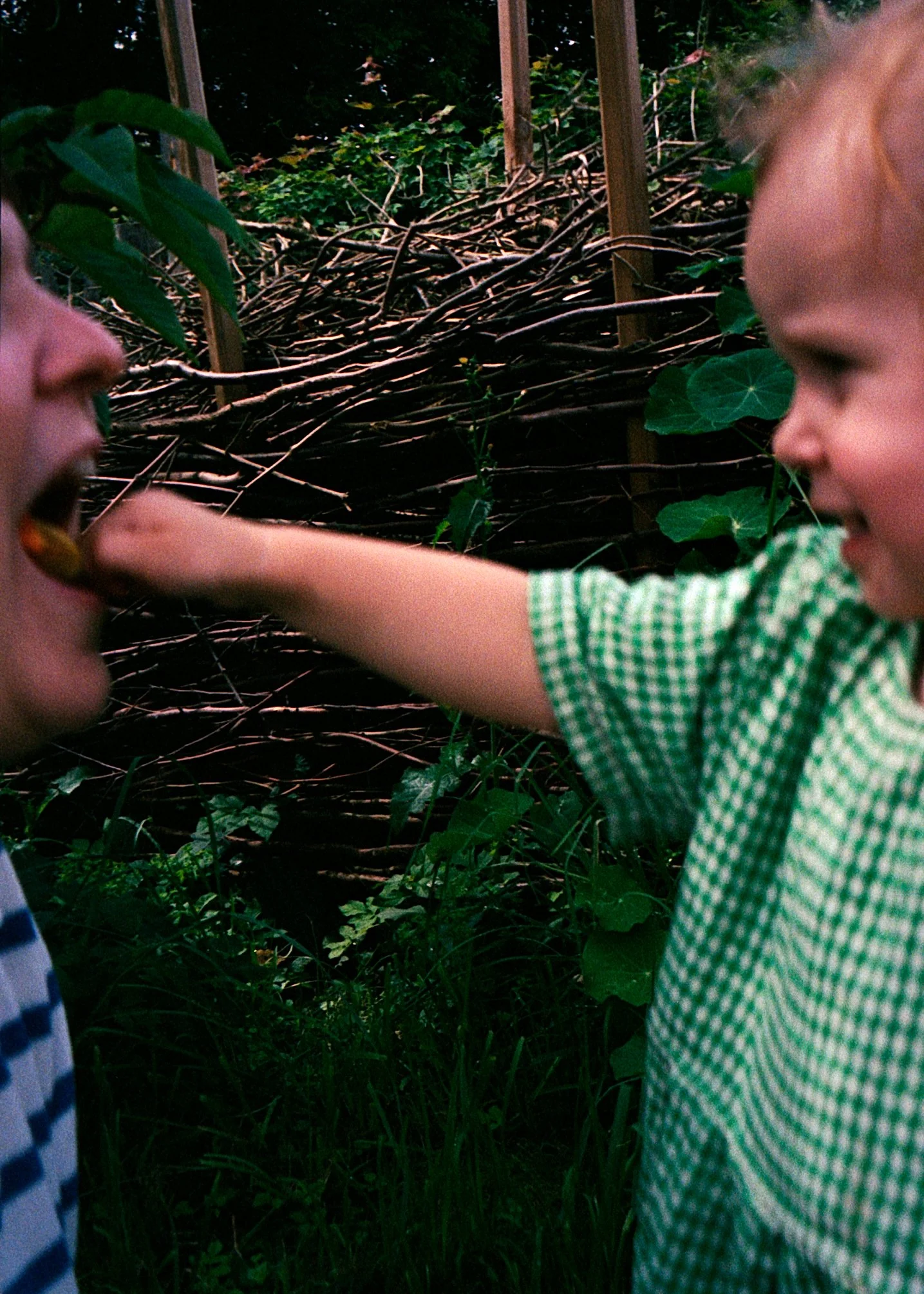 Zwei Kinder, ein Junge und ein Mädchen, spielen im Garten. Der Junge steckt dem Mädchen einen Stock in den Mund, beide lachen.