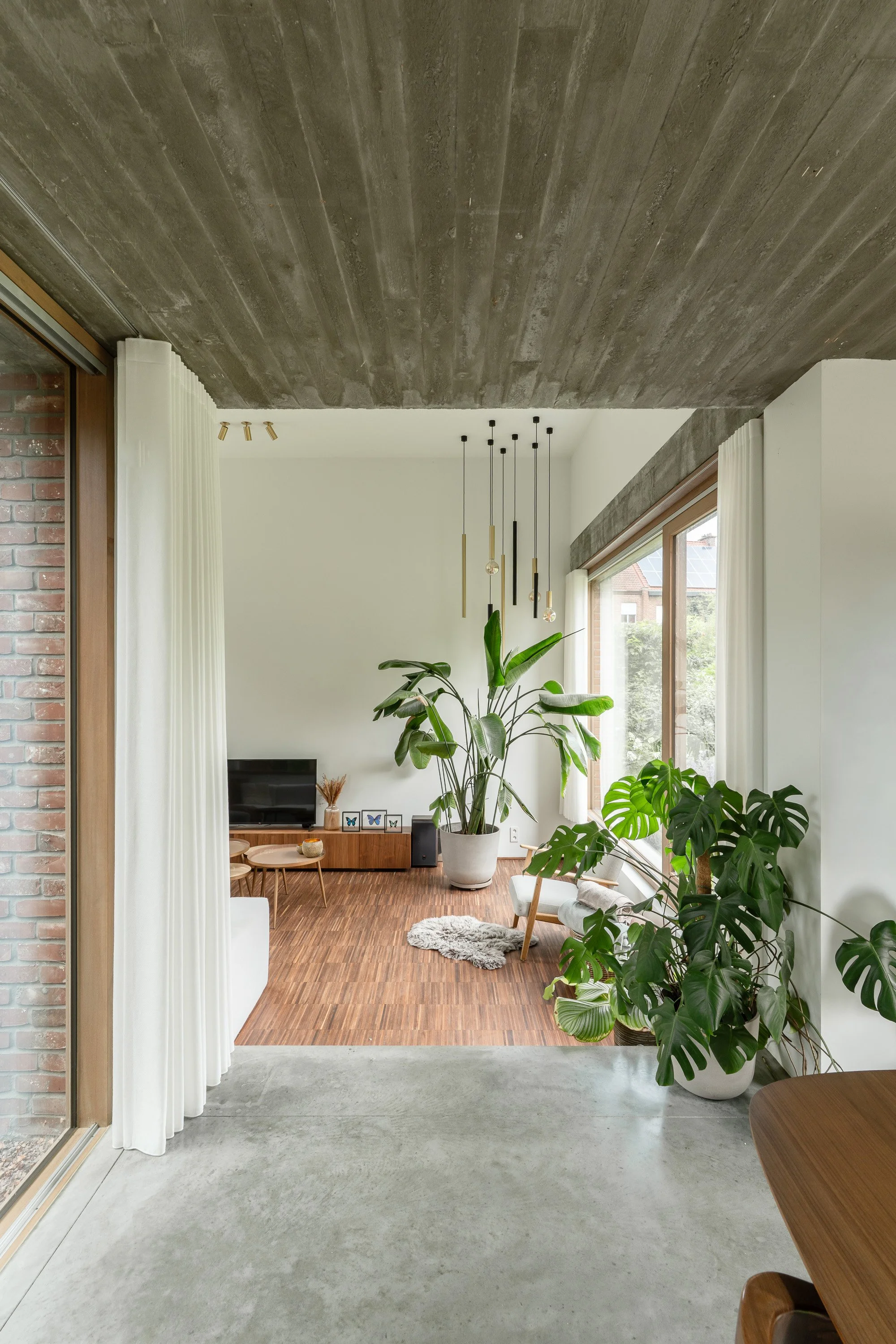 Muizen-AlanisBlondeel-5.jpg