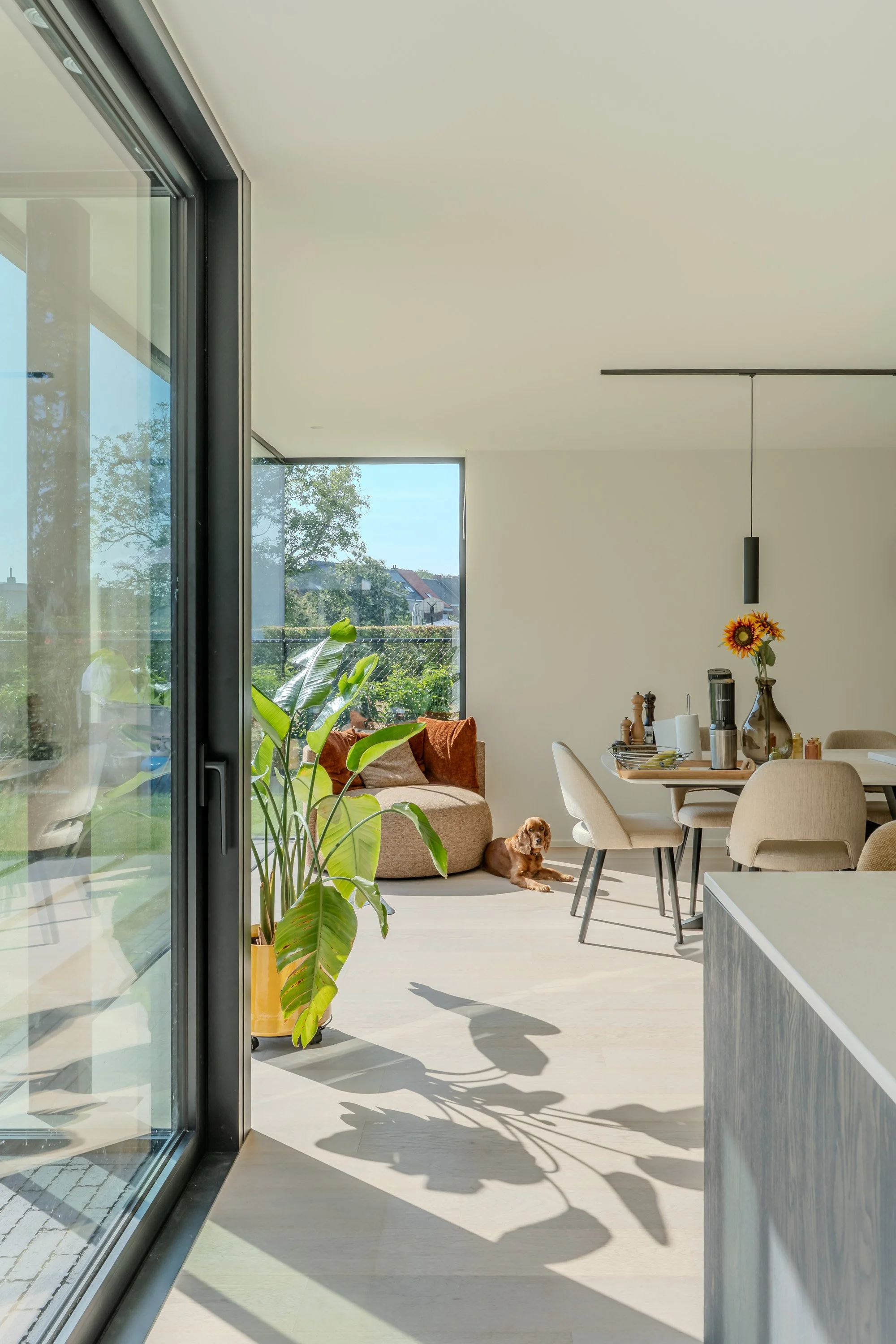 ArneSegers-woningLonderzeel-AlanisBlondeel--5.jpg