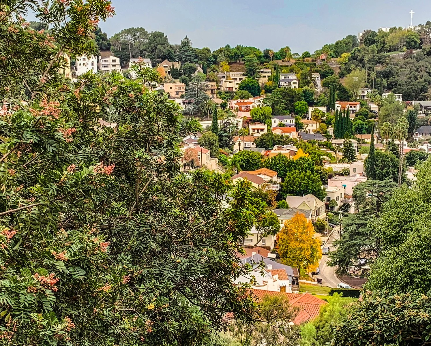 AdamsHillView.jpg
