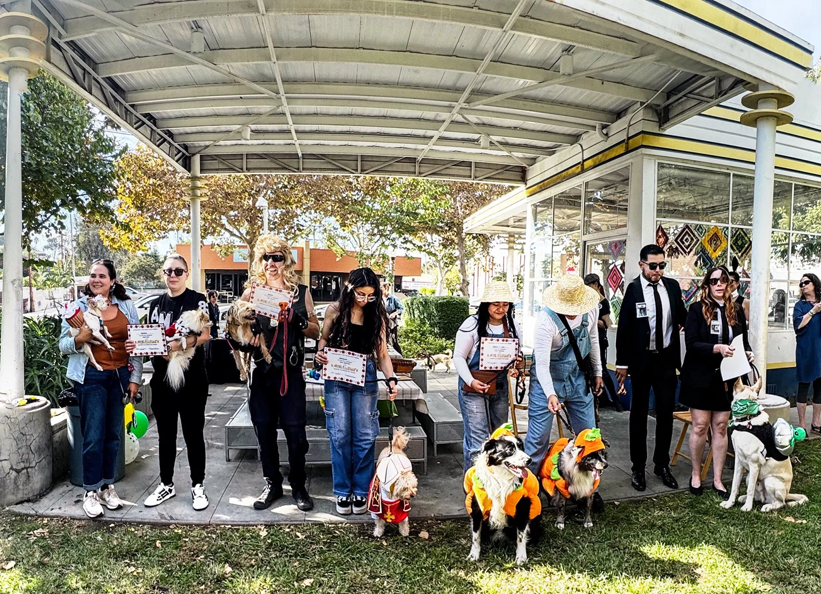 HalloweenDogCostume.jpg
