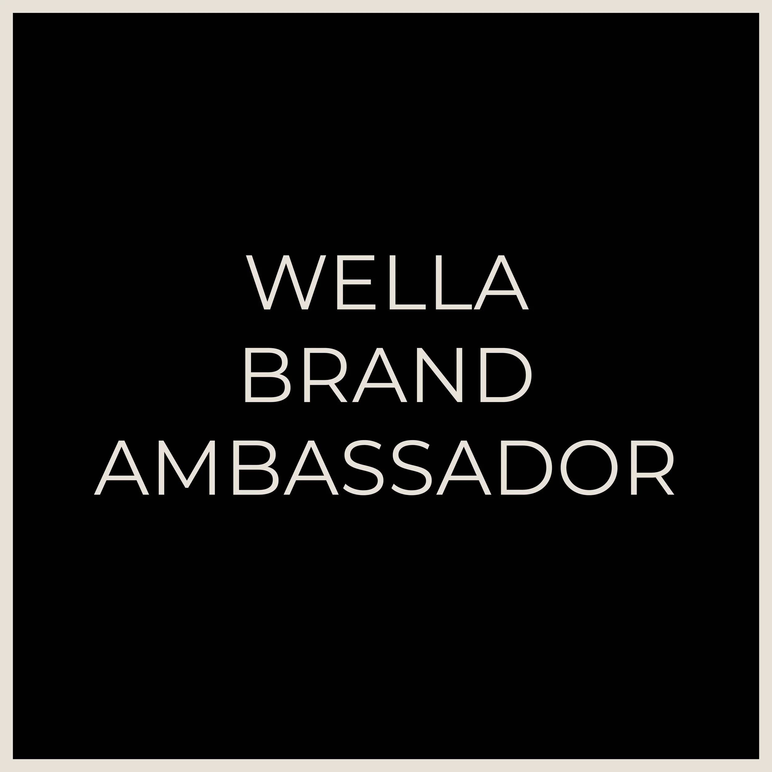 WELLA BRAND AMB CREDIBILITY INDICATORS.jpg