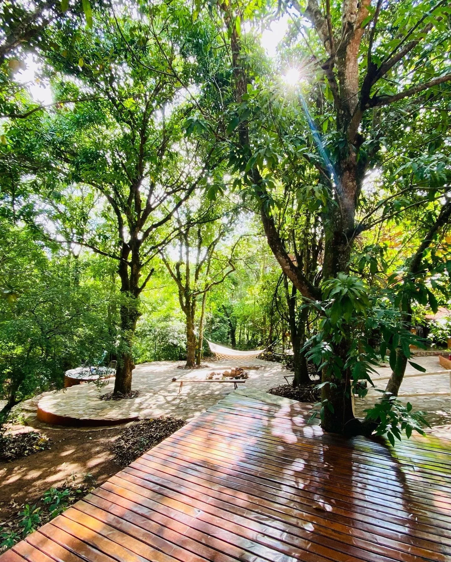Sunlight filters through green trees onto a wooden deck and a paved area with a hammock in a lush garden.