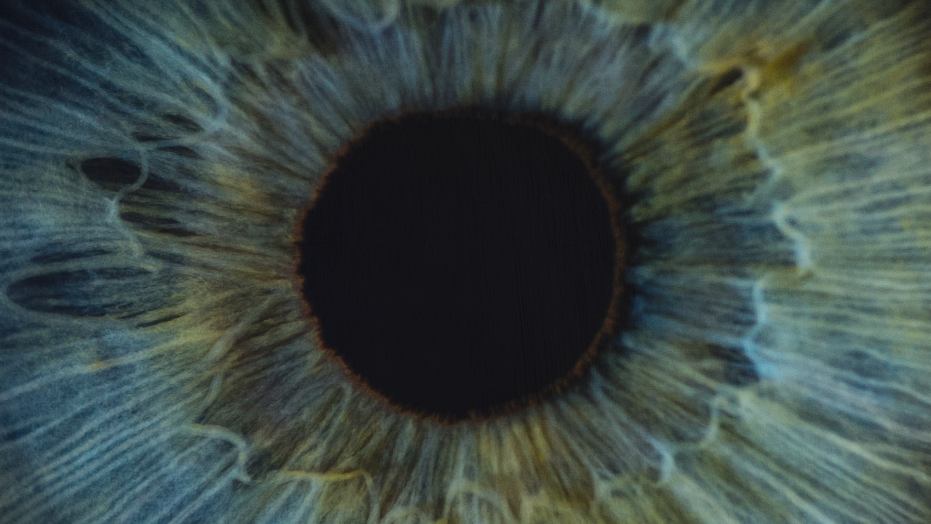 Close up of an eye's iris and pupil