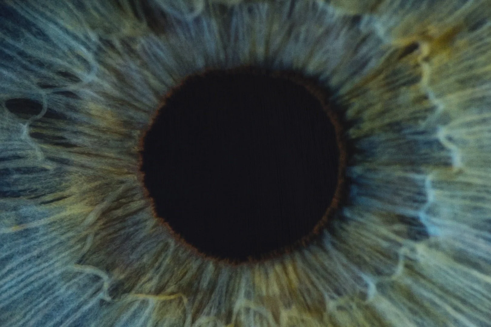 Productivity Tip - Get Clarity