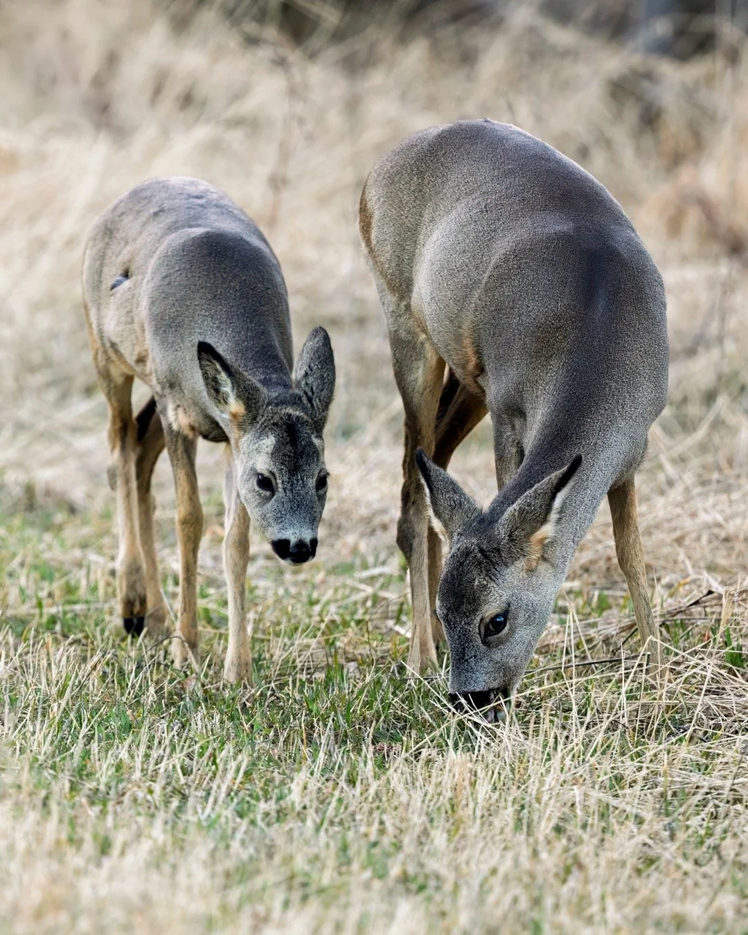 instagram 250330-5.jpeg