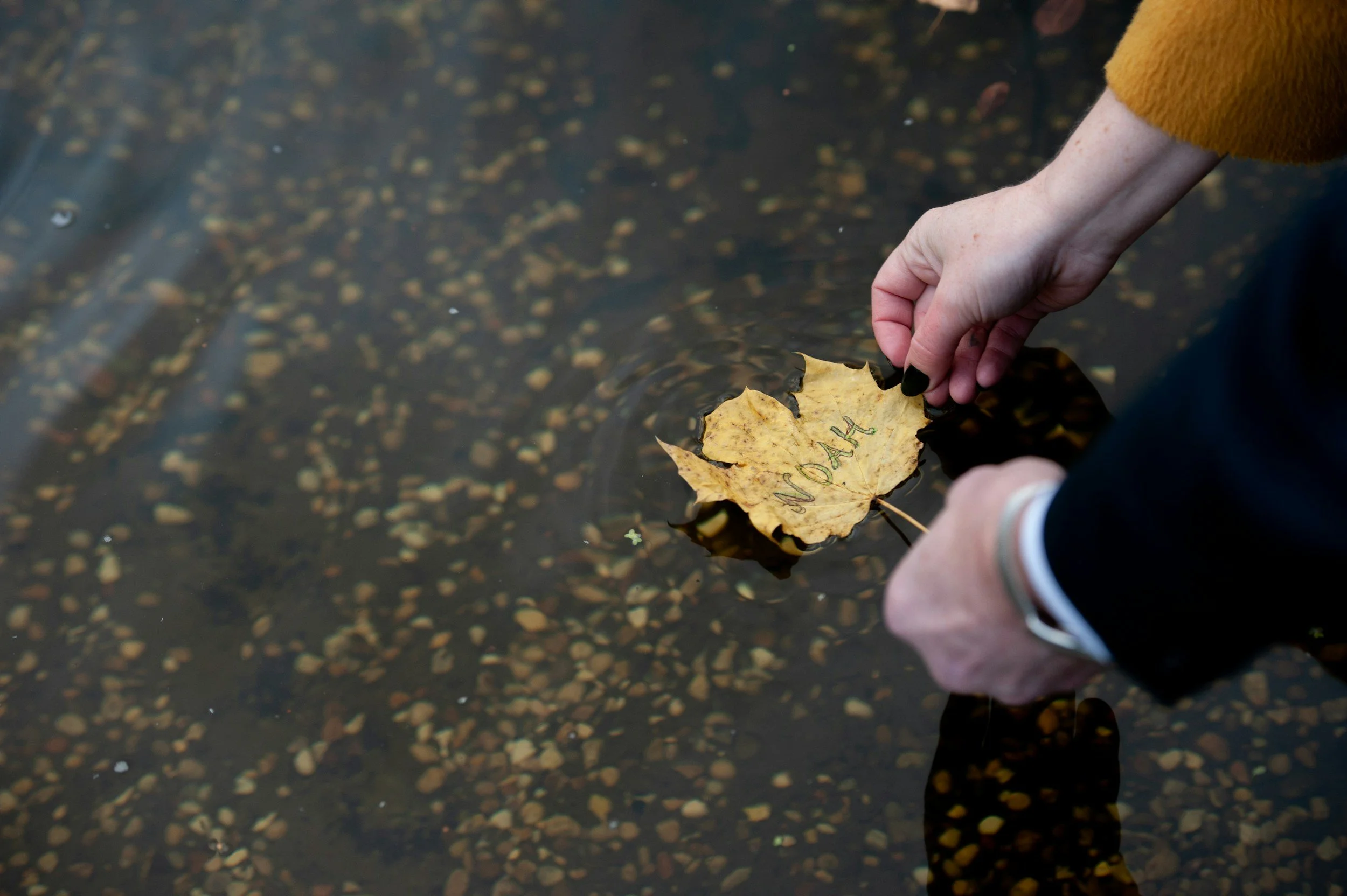 The grief of dementia