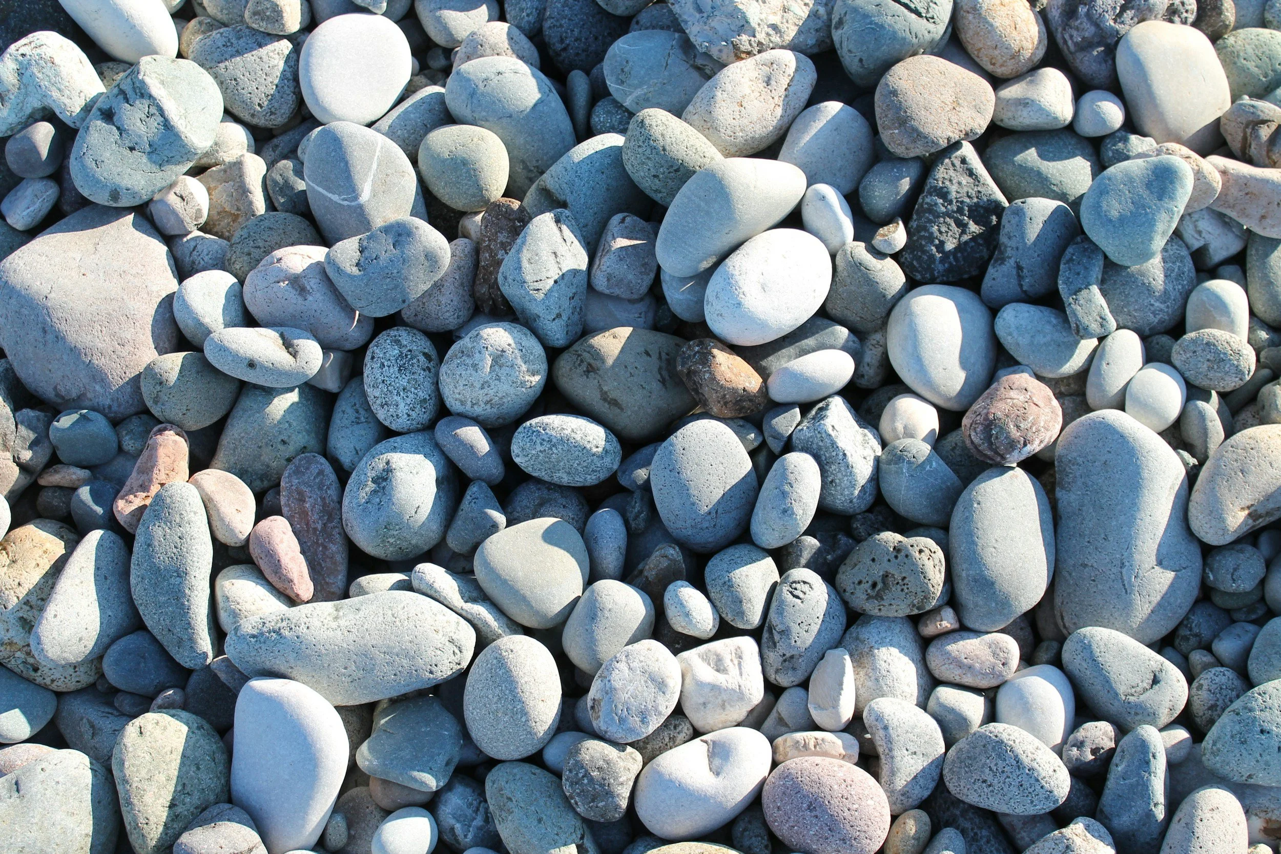 Close-up view of various small, smooth, grey stones on a beach or rocky area.
