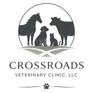 Crossroads Veterinary Clinic