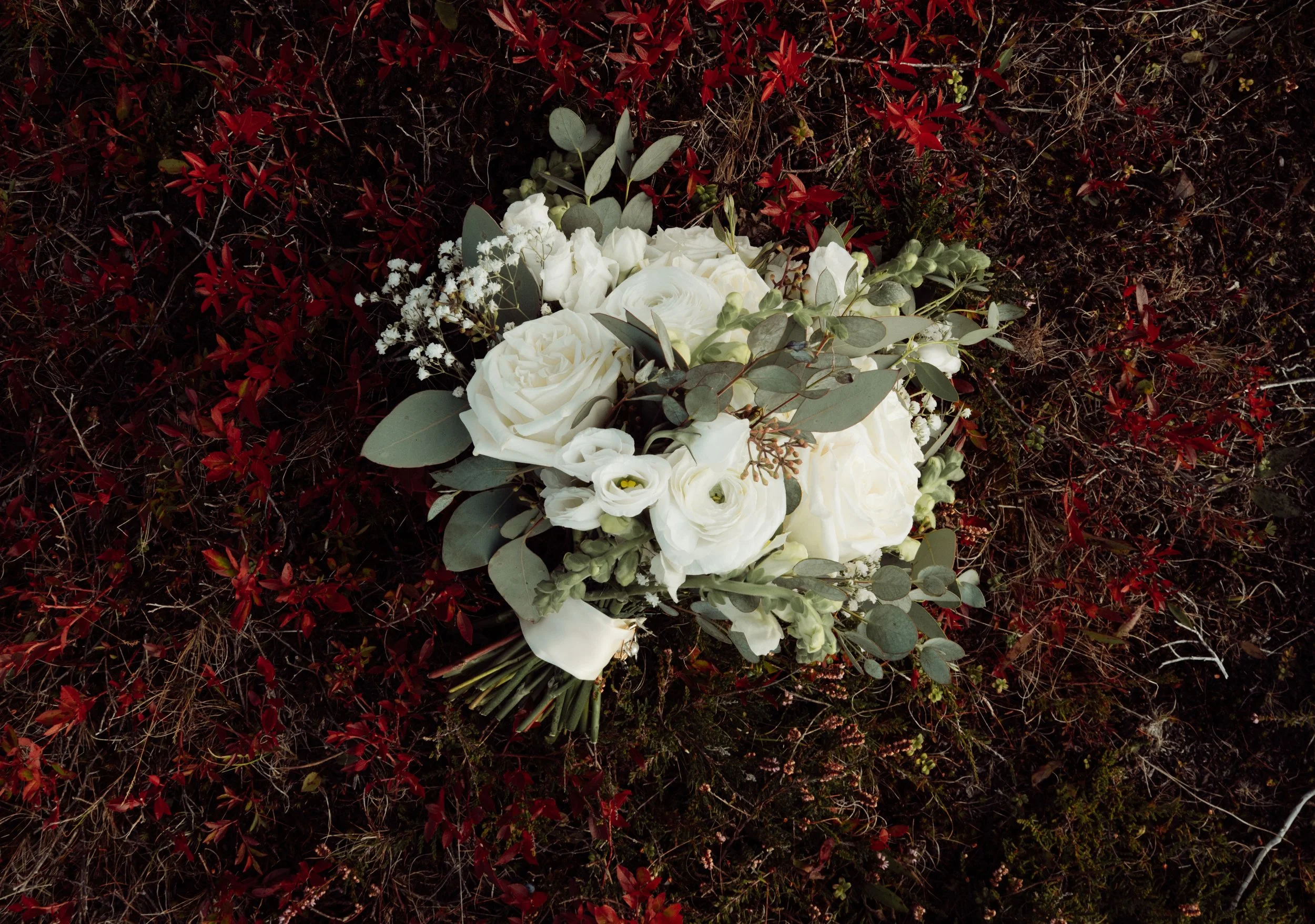 G & B Sneak Peeks | R Pardy Photography-101.jpg