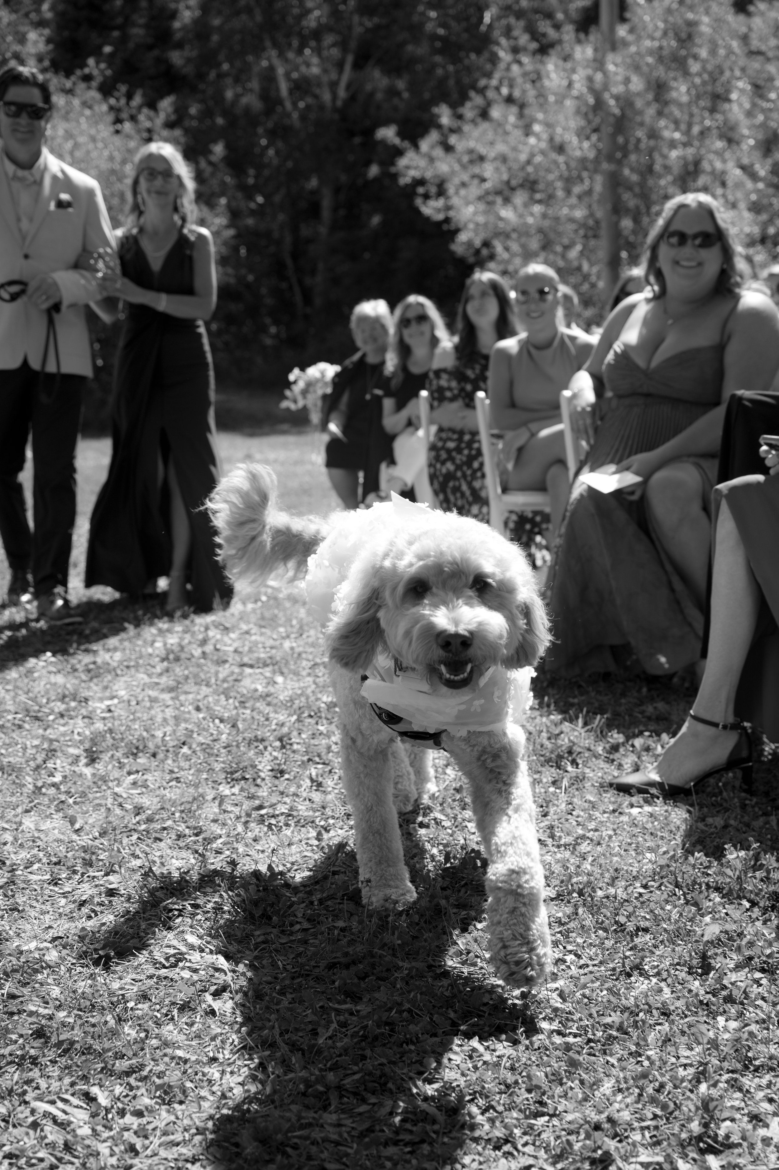 B & L The Sneak Peeks | R Pardy Photography-49.jpg