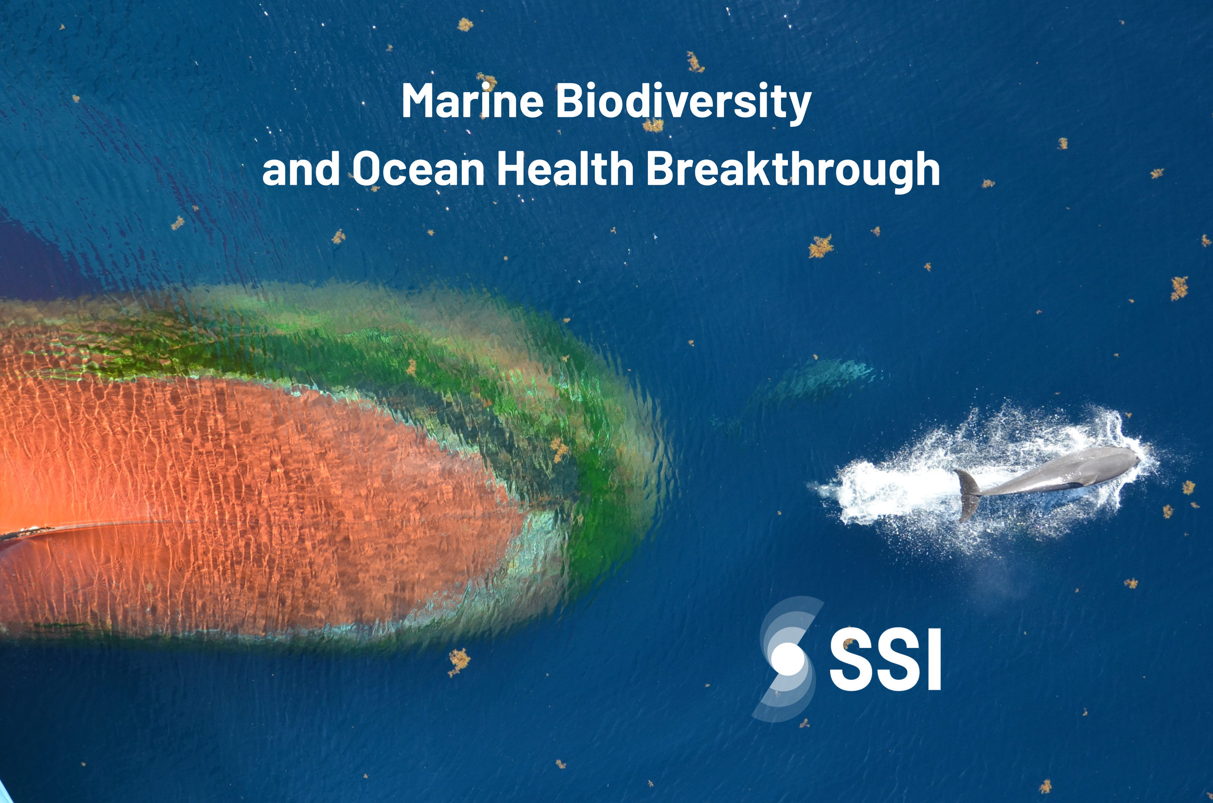 Marine Biodiversity &amp; Ocean Health Breakthrough