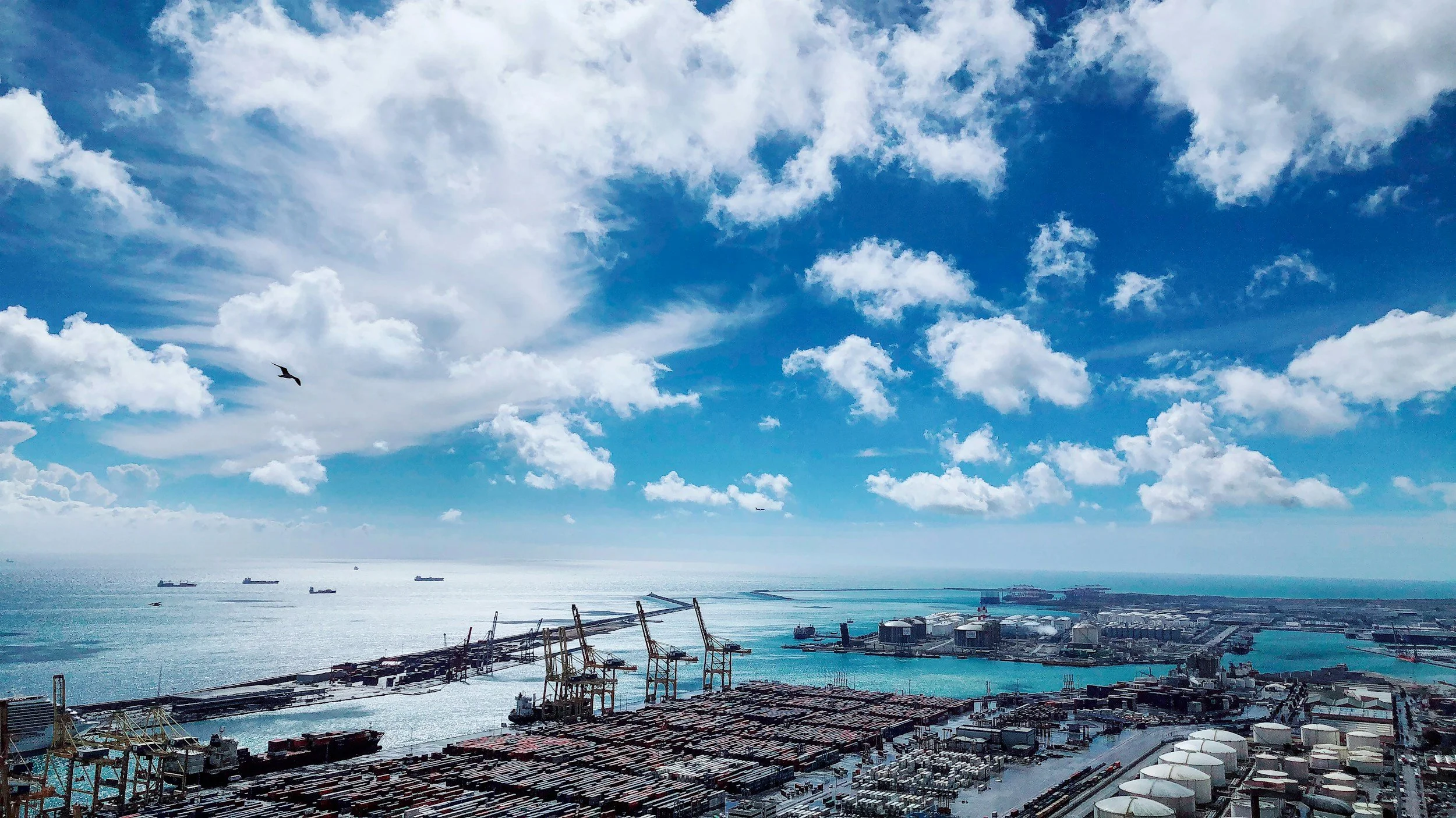 Report : Commercial Pathways to Transition