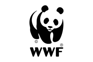 Black and white illustration of a panda holding a bamboo shoot