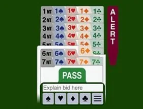 Wiseman &amp; McGinley win the On-Line Swiss Pairs