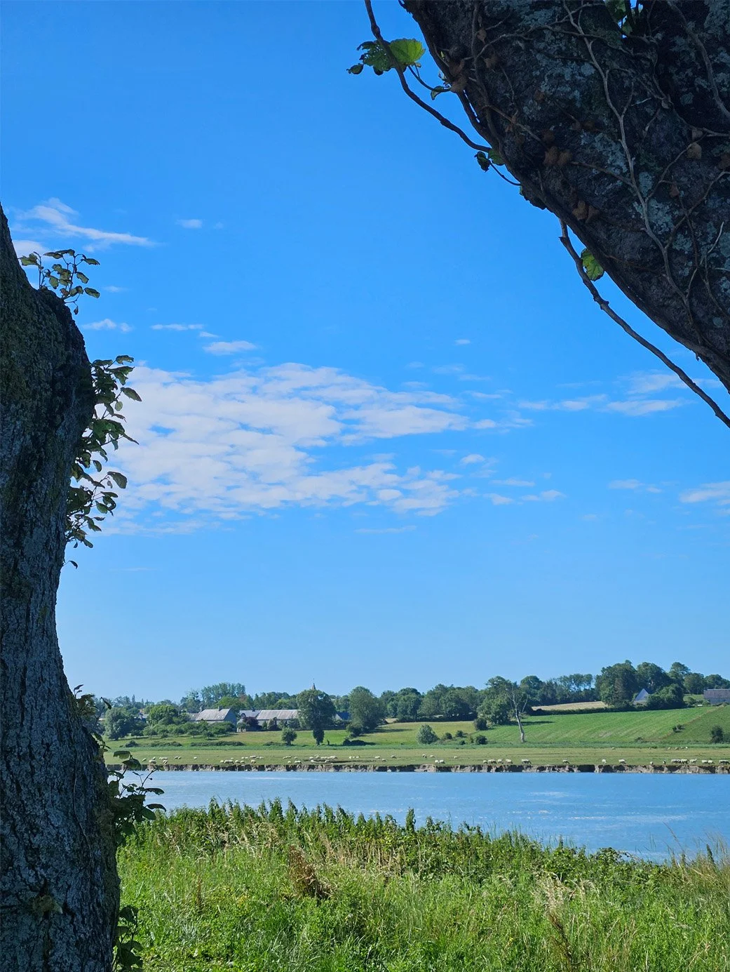 Paysage rural avec un fleuve, des maisons et des arbres sous un ciel bleu avec quelques nuages.